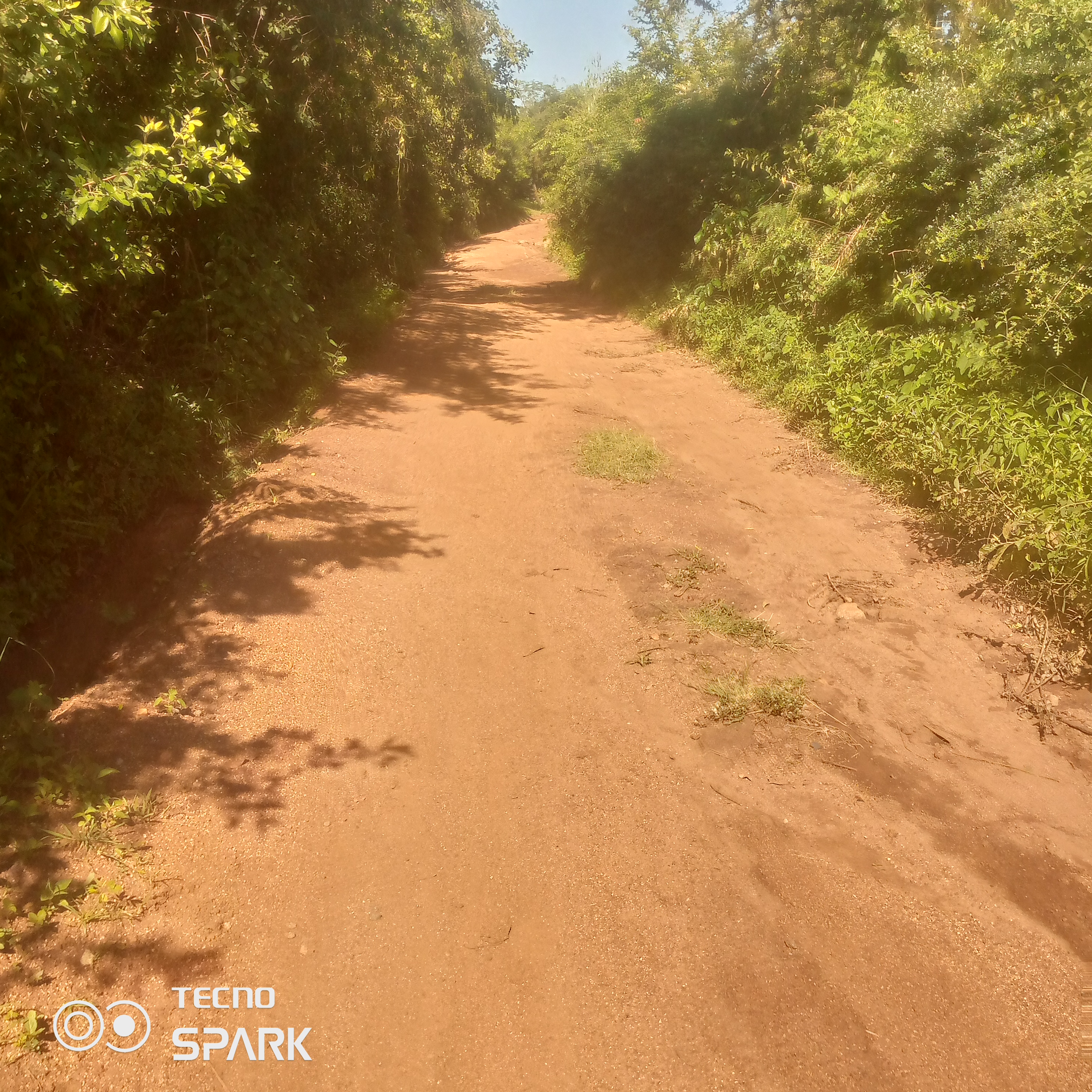Ambush access road