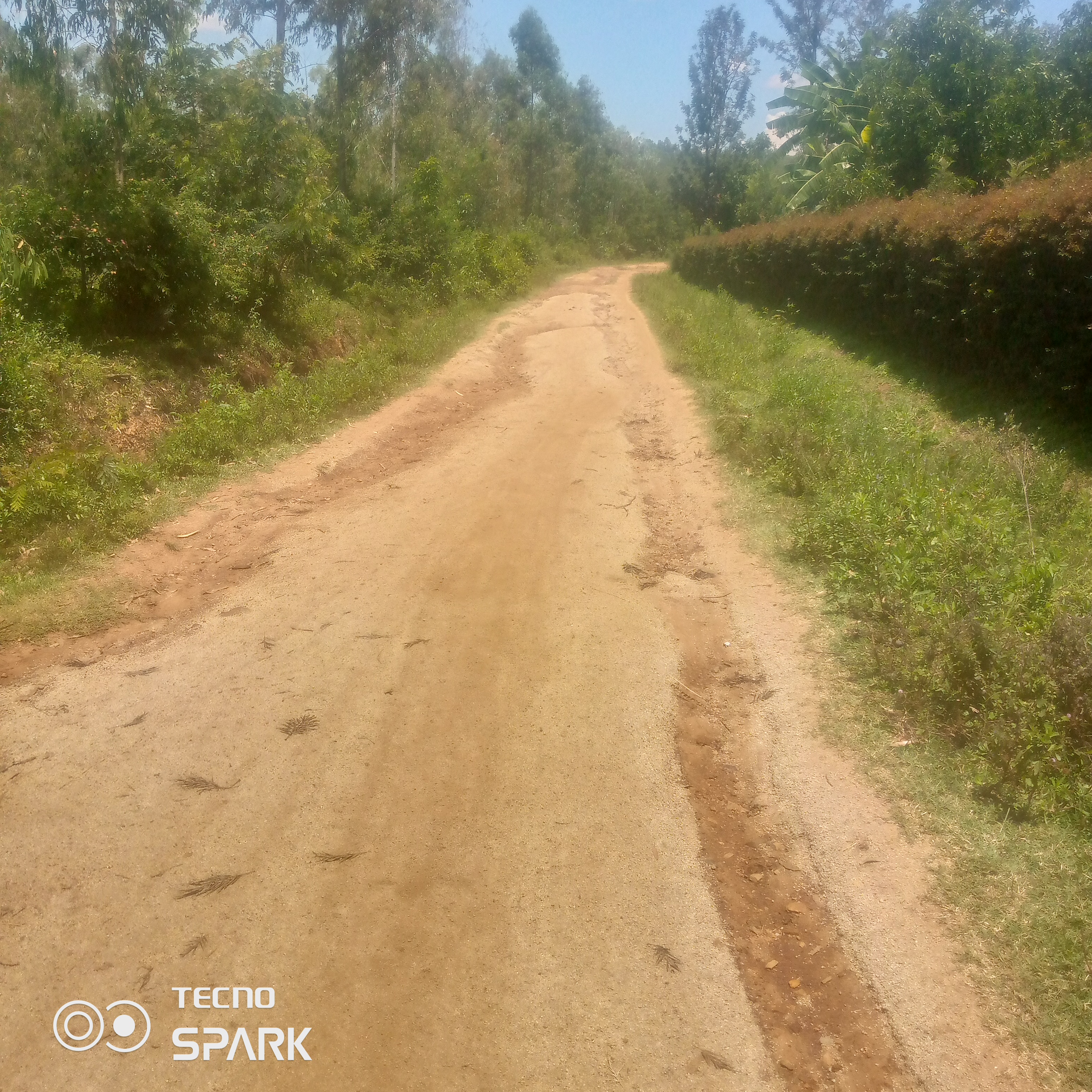 Alendu access