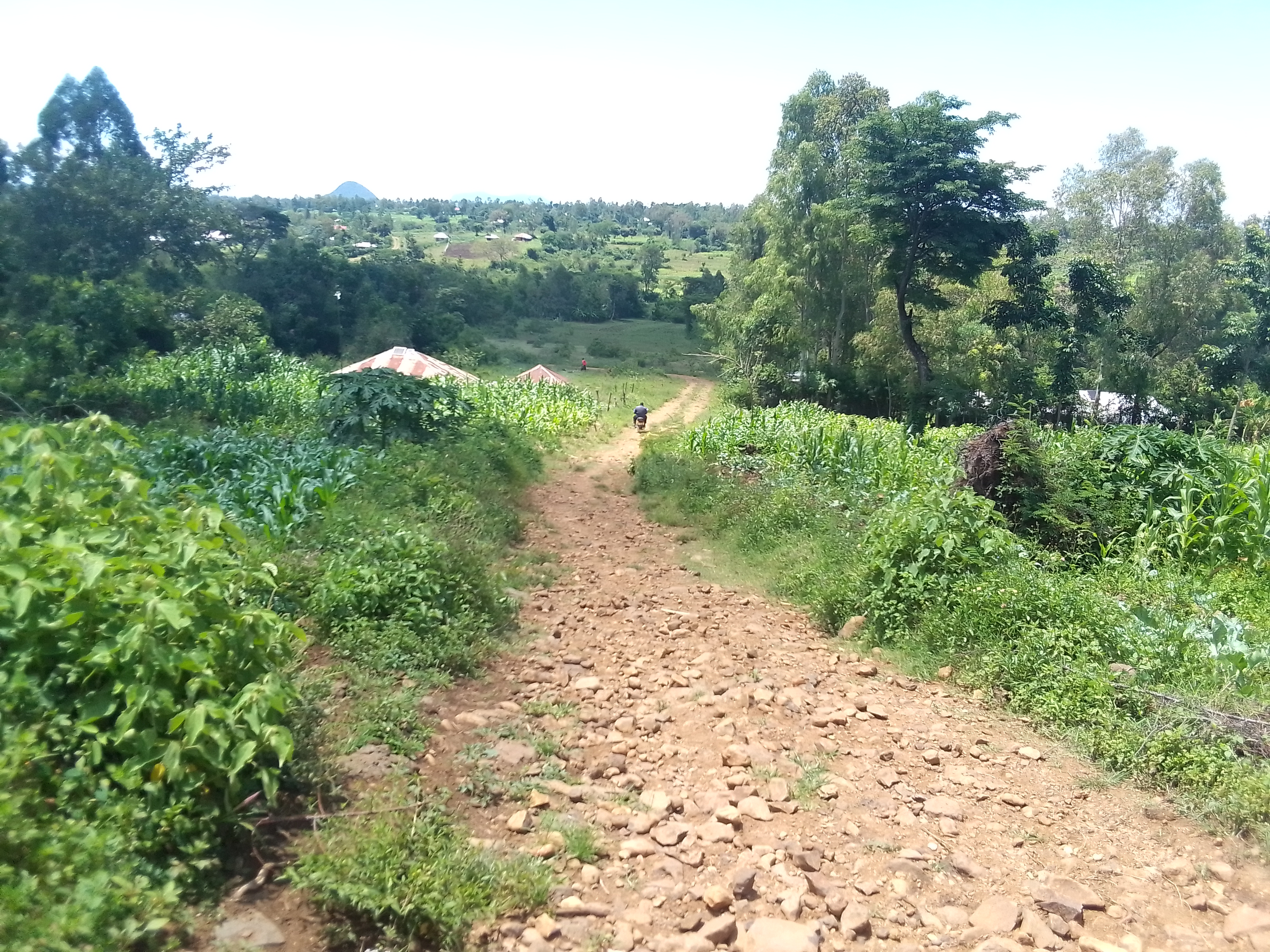 Ariwa bridge- konam- Kanyauke road