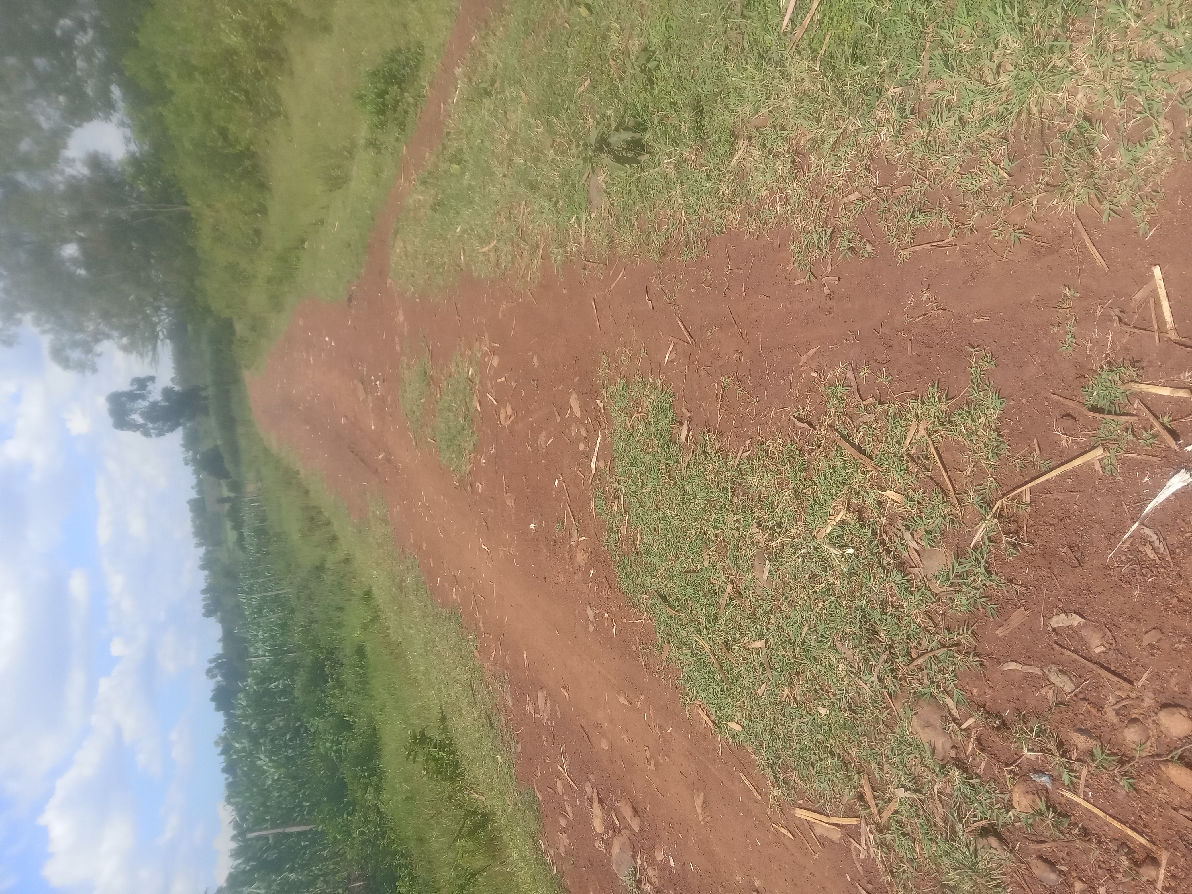 KONYANDO-SASI-SAGOMBA ROAD