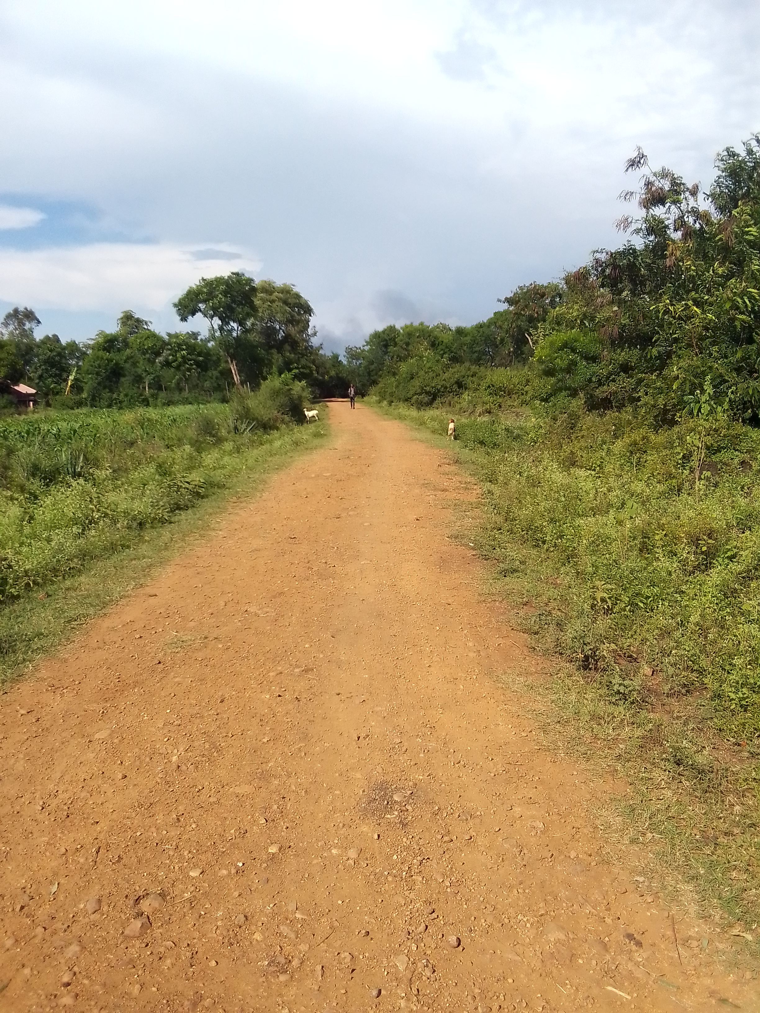 Magare - Kojode- Nyagidha Road