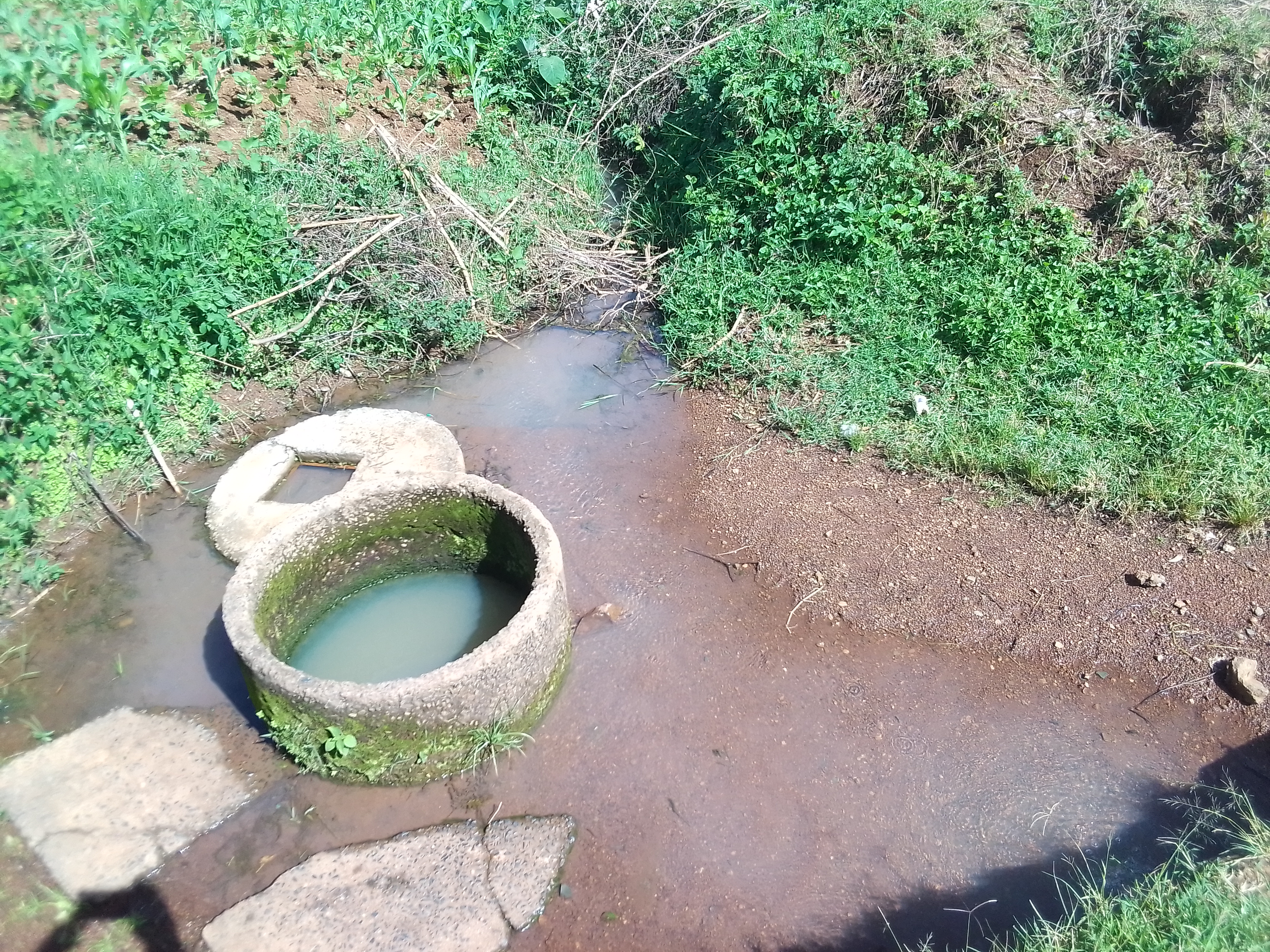 Soko Kowiti Community Water Project