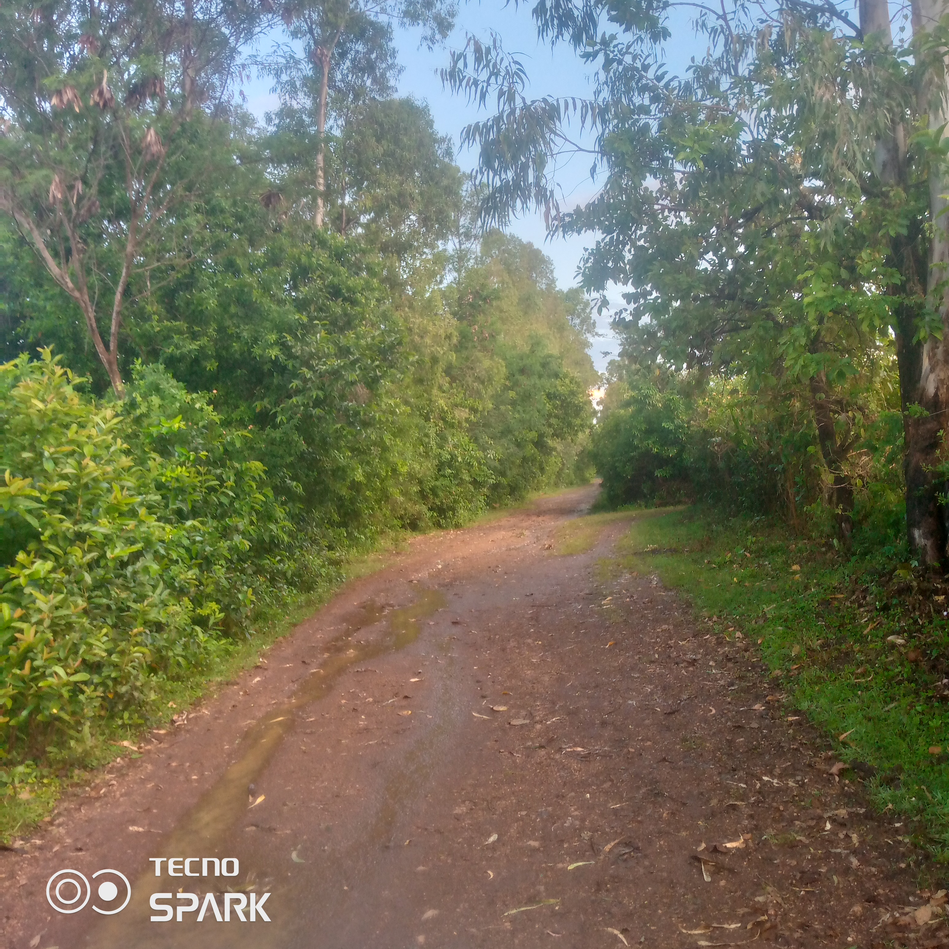 Kangir-soko-kawakuru road
