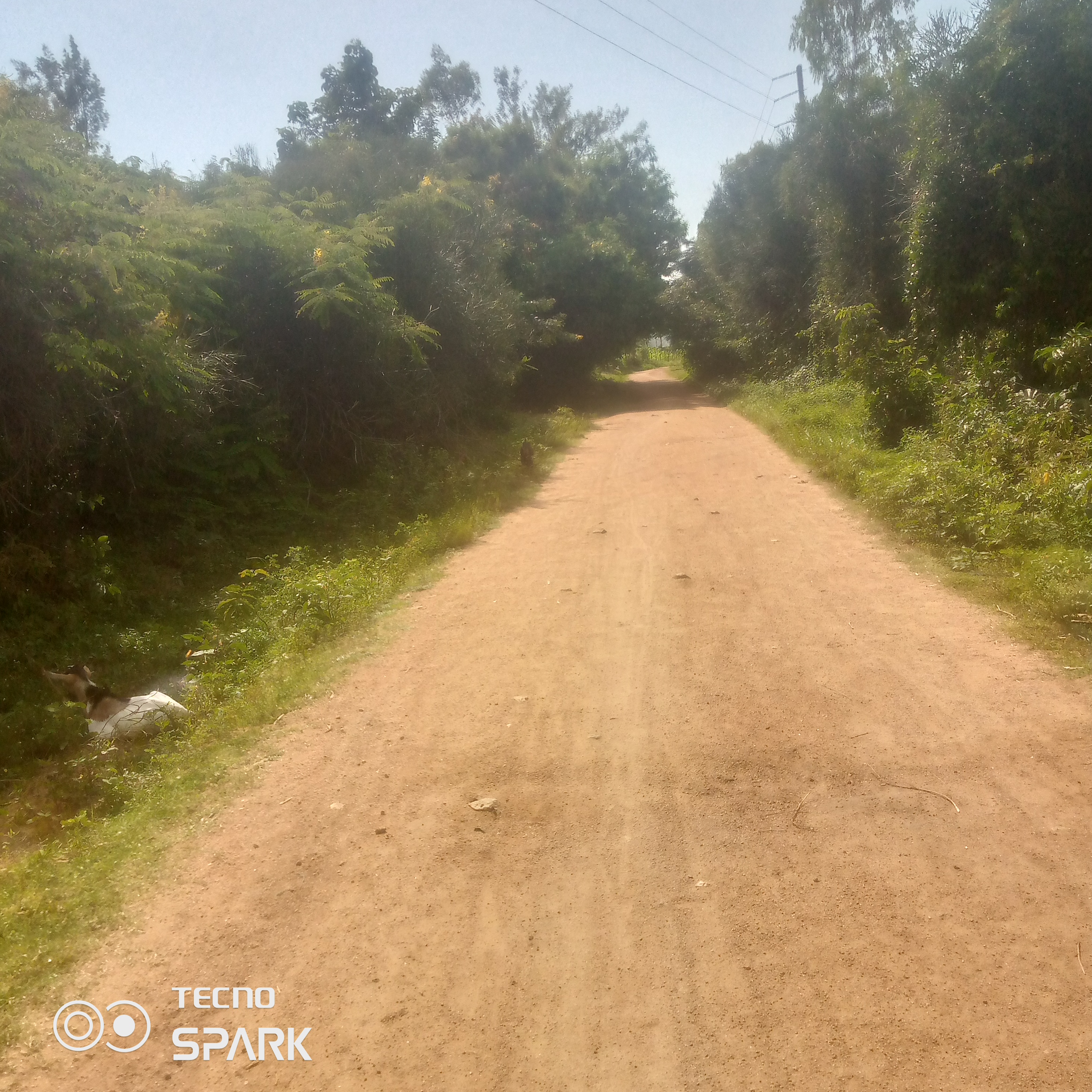 Nyakwere-limara loop