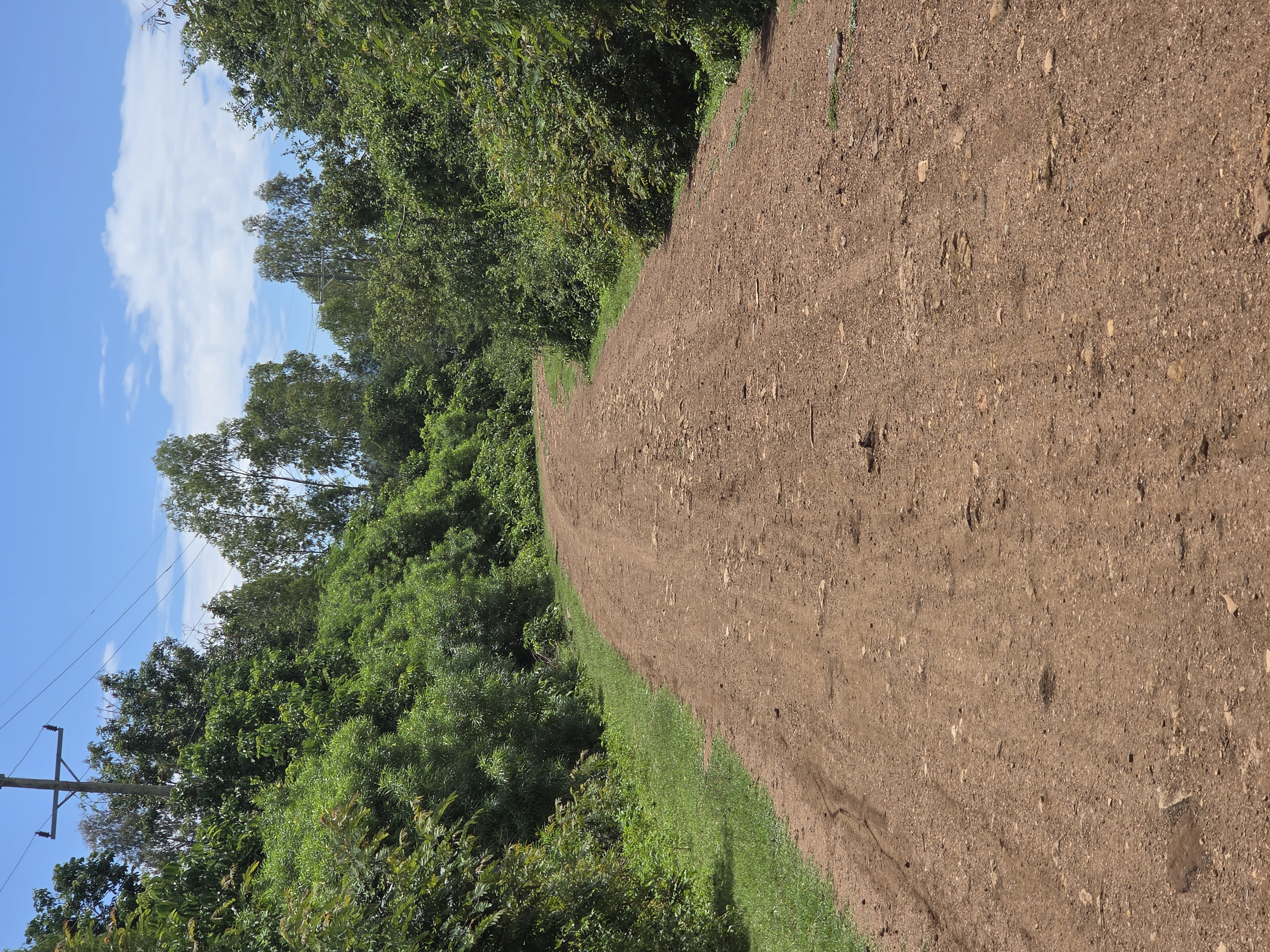 OPENING, GRADING AND GRAVELLING OF NYAMWALA-NYAWI OMUGA ROAD
