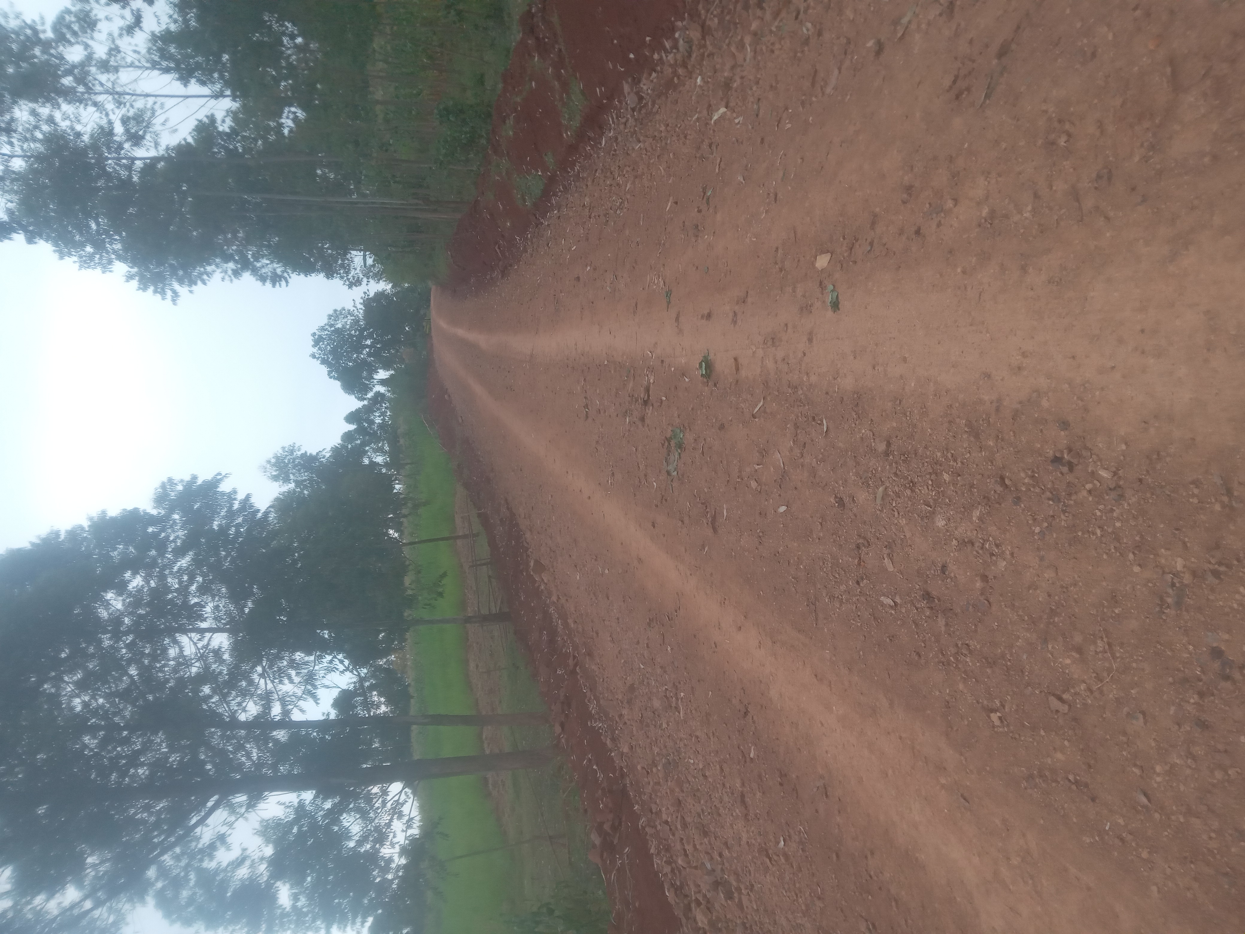 Ogango- Nyombulu-Ongoro- Ngeny- Sengre Road