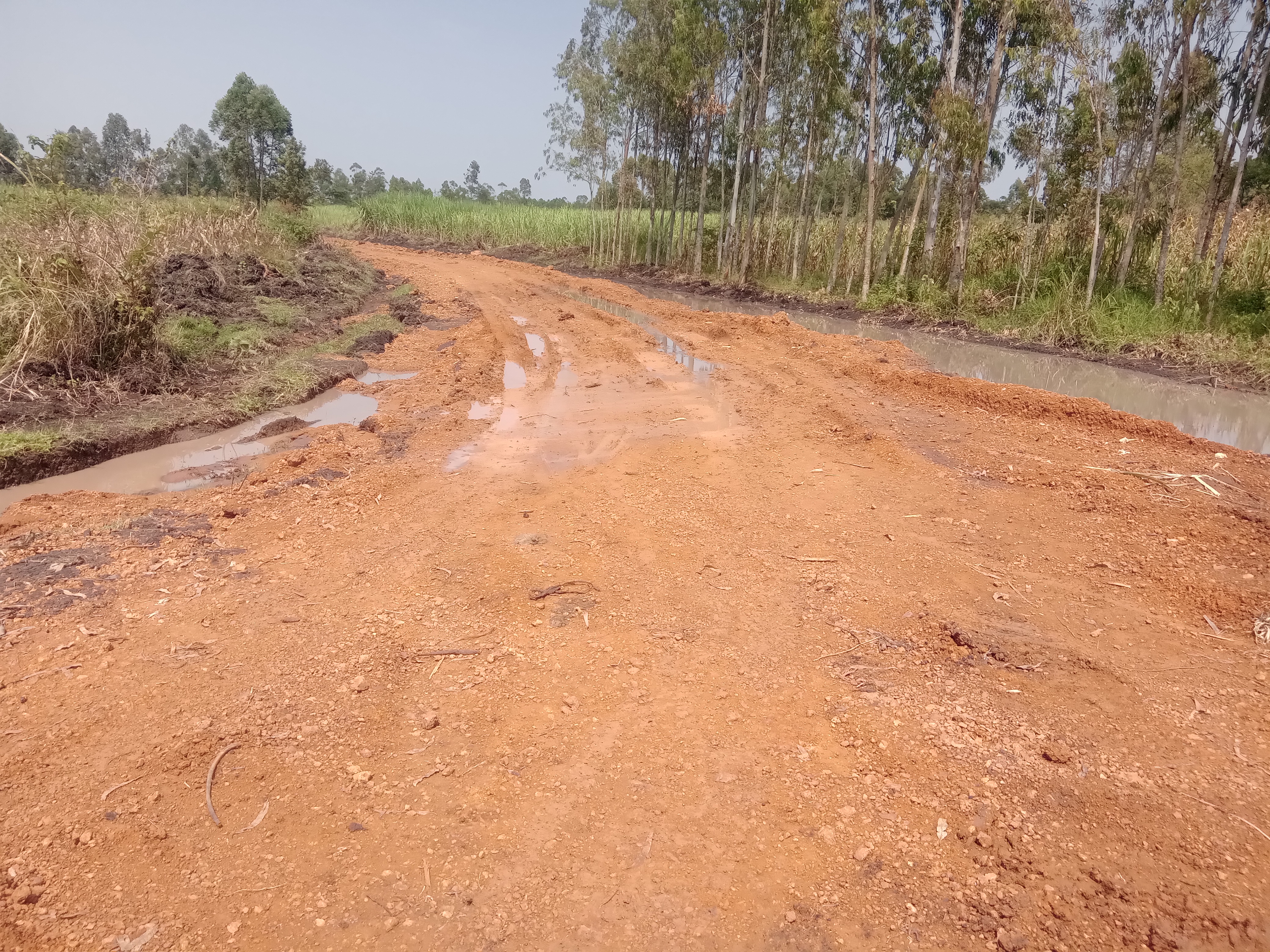 Kaabdala Rangenya road