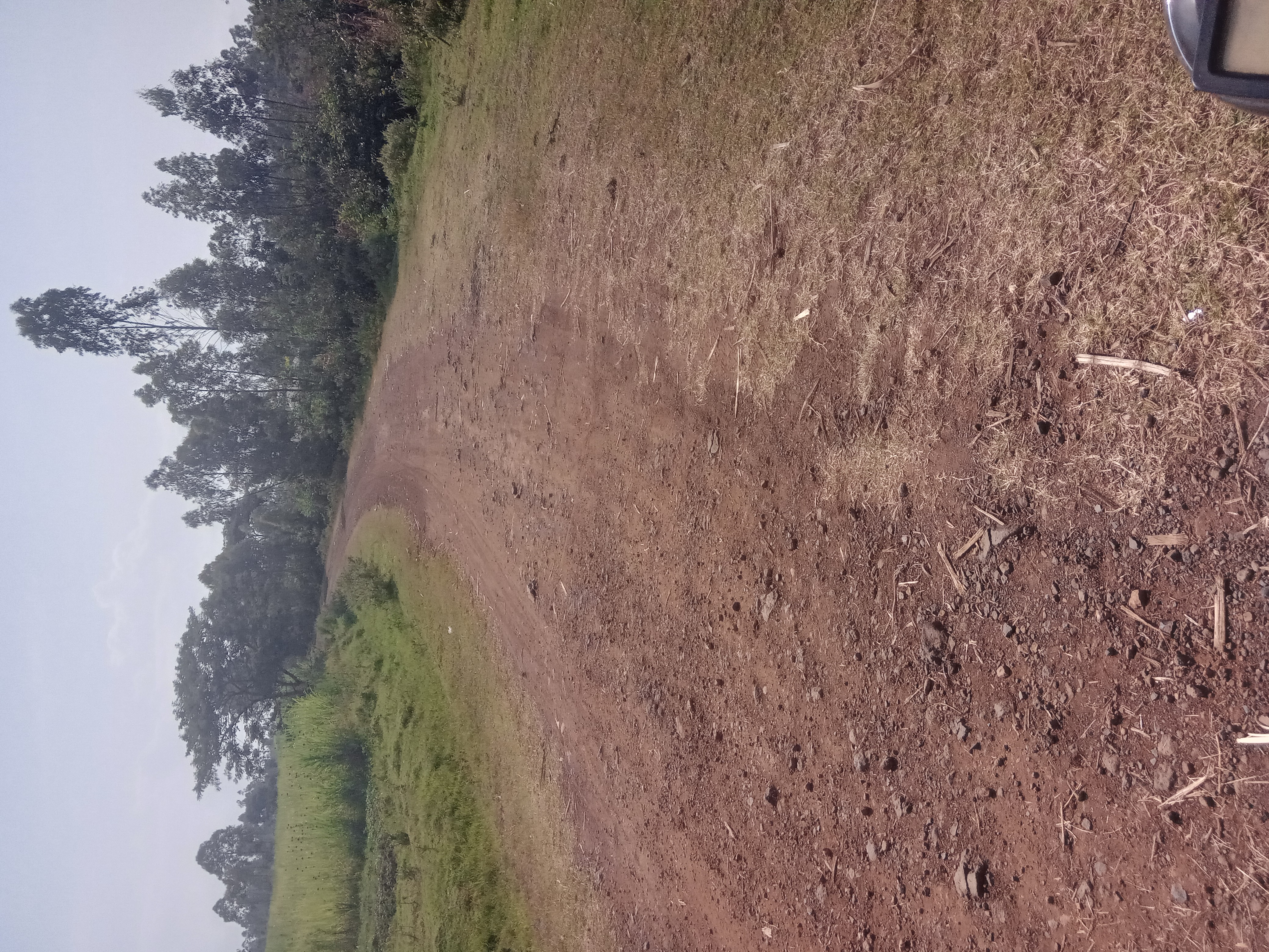 Kawere Ndere. language road.