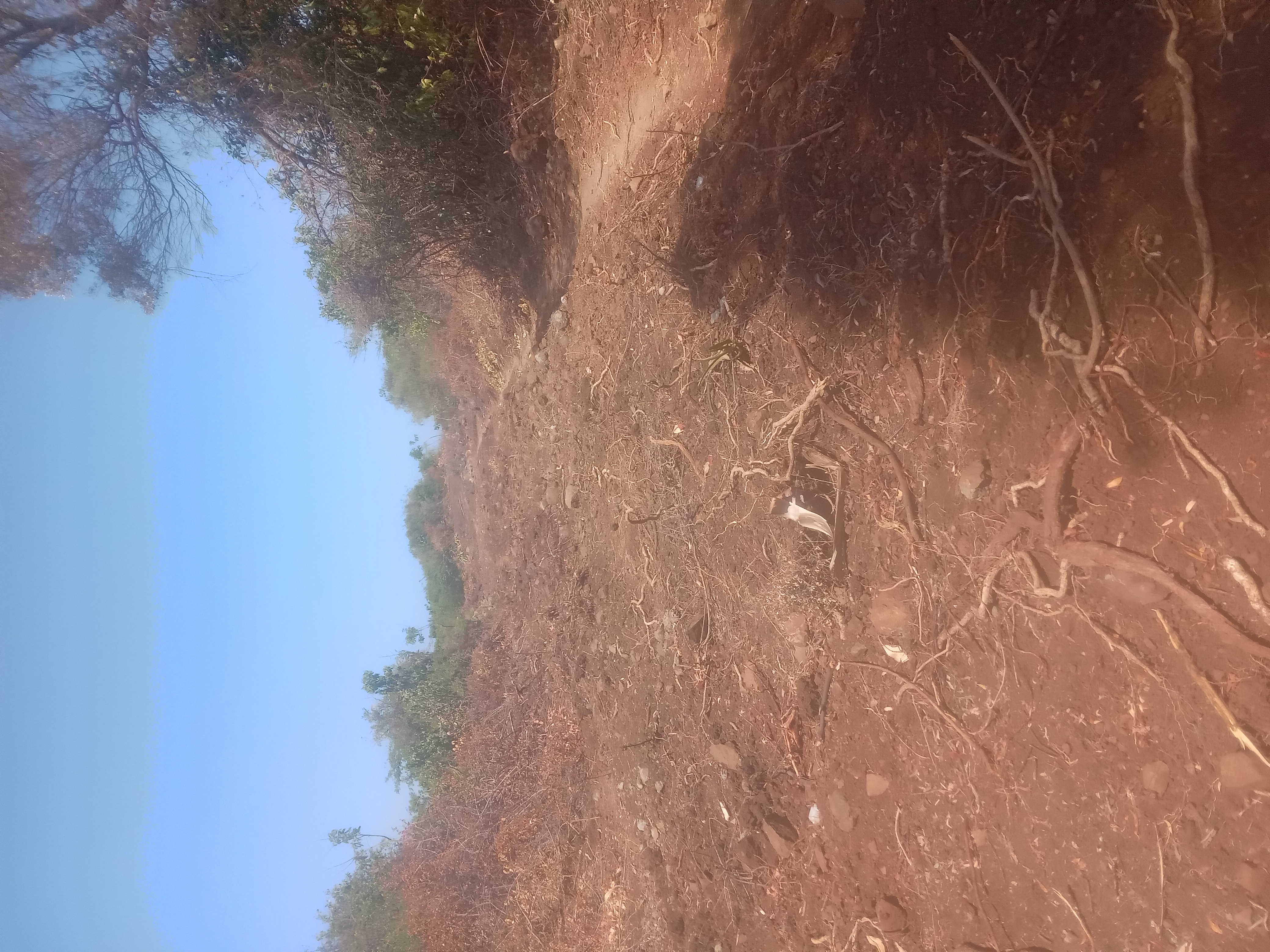 Nyawalongo-Beach Road