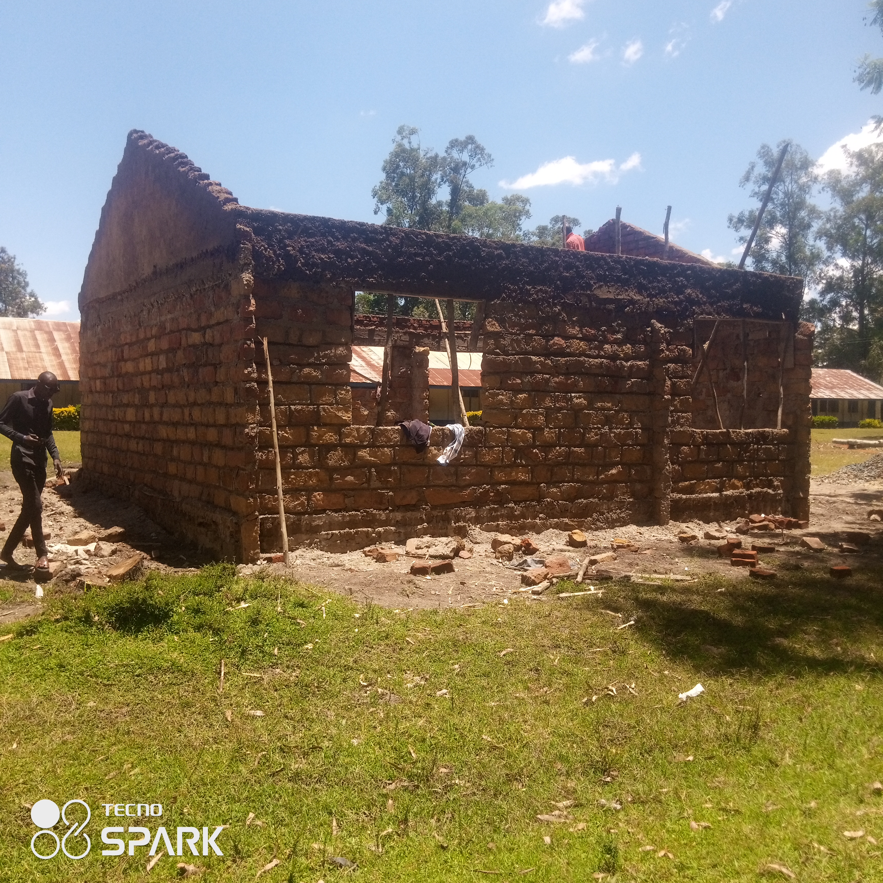 Kochia disii eye classroom