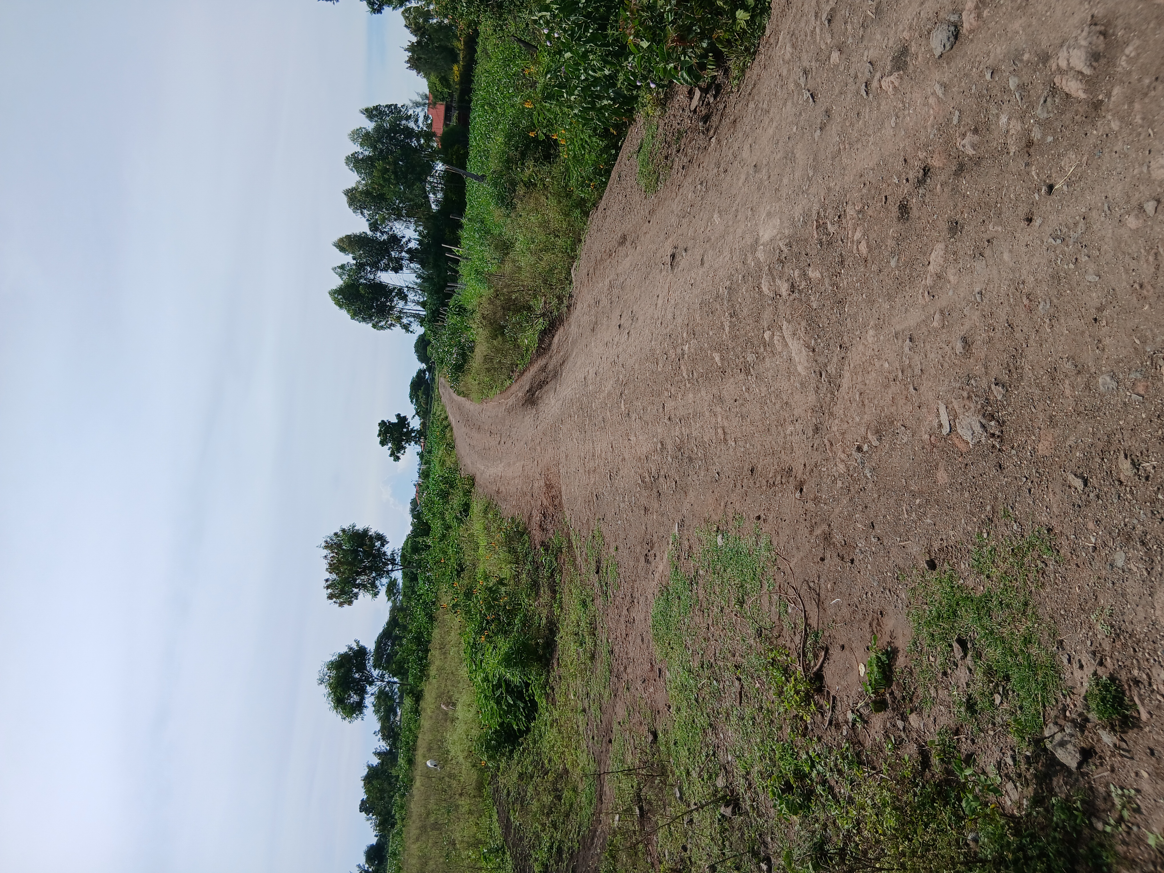 Mirunda Hao Kitare Nyasumbi road