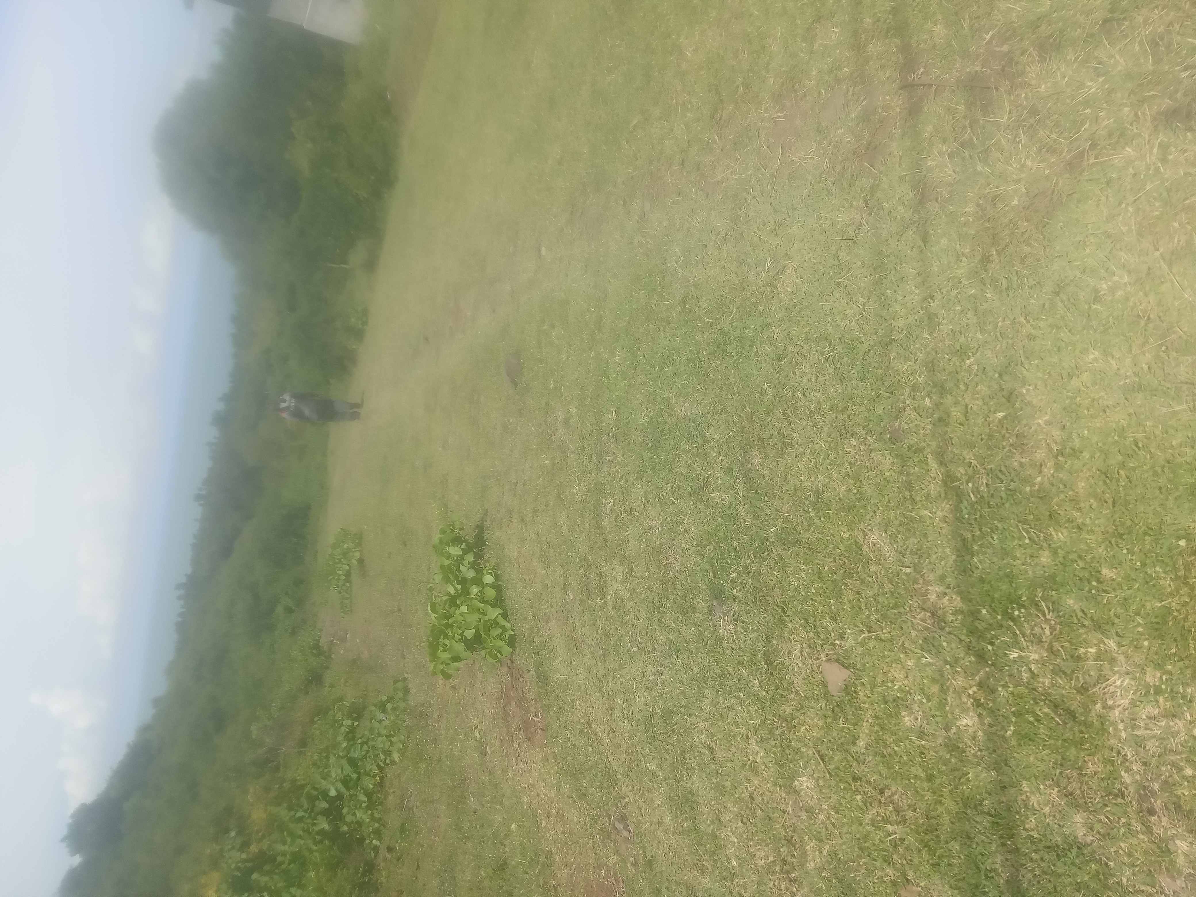 MAINTENANCE OF KITEREKA-SDA TIKO BEACH ROAD