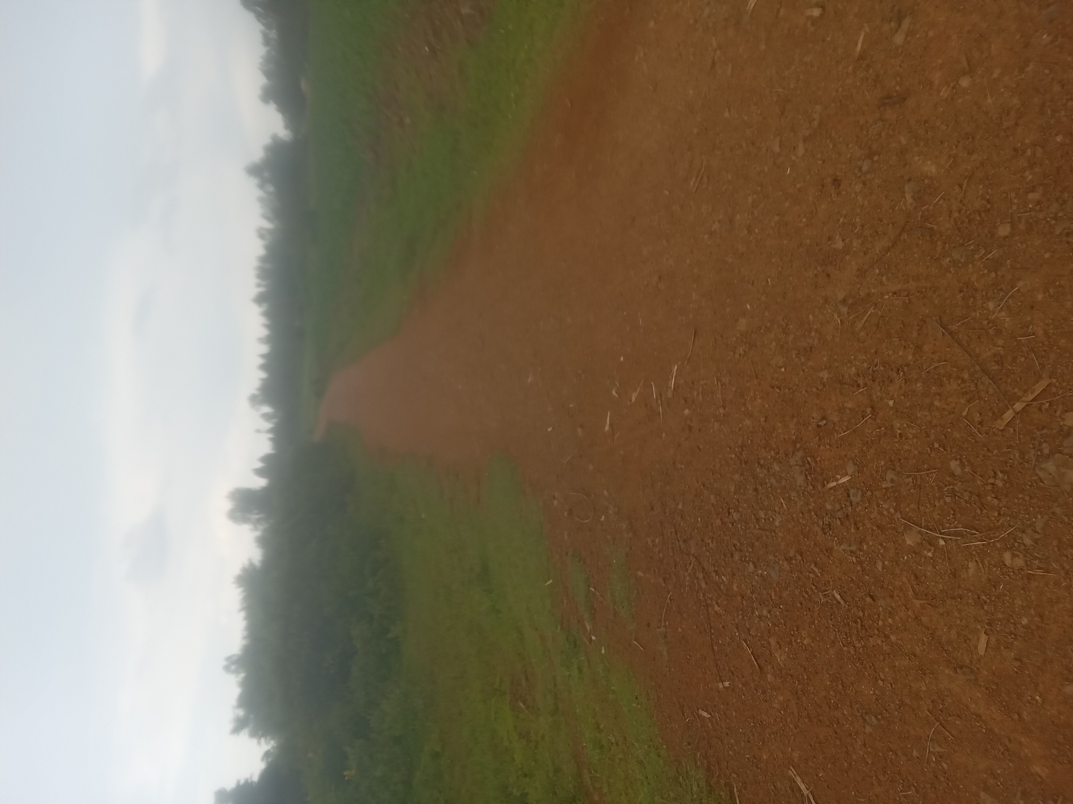 JAMAINO-KOJI JUNCTION ROAD.