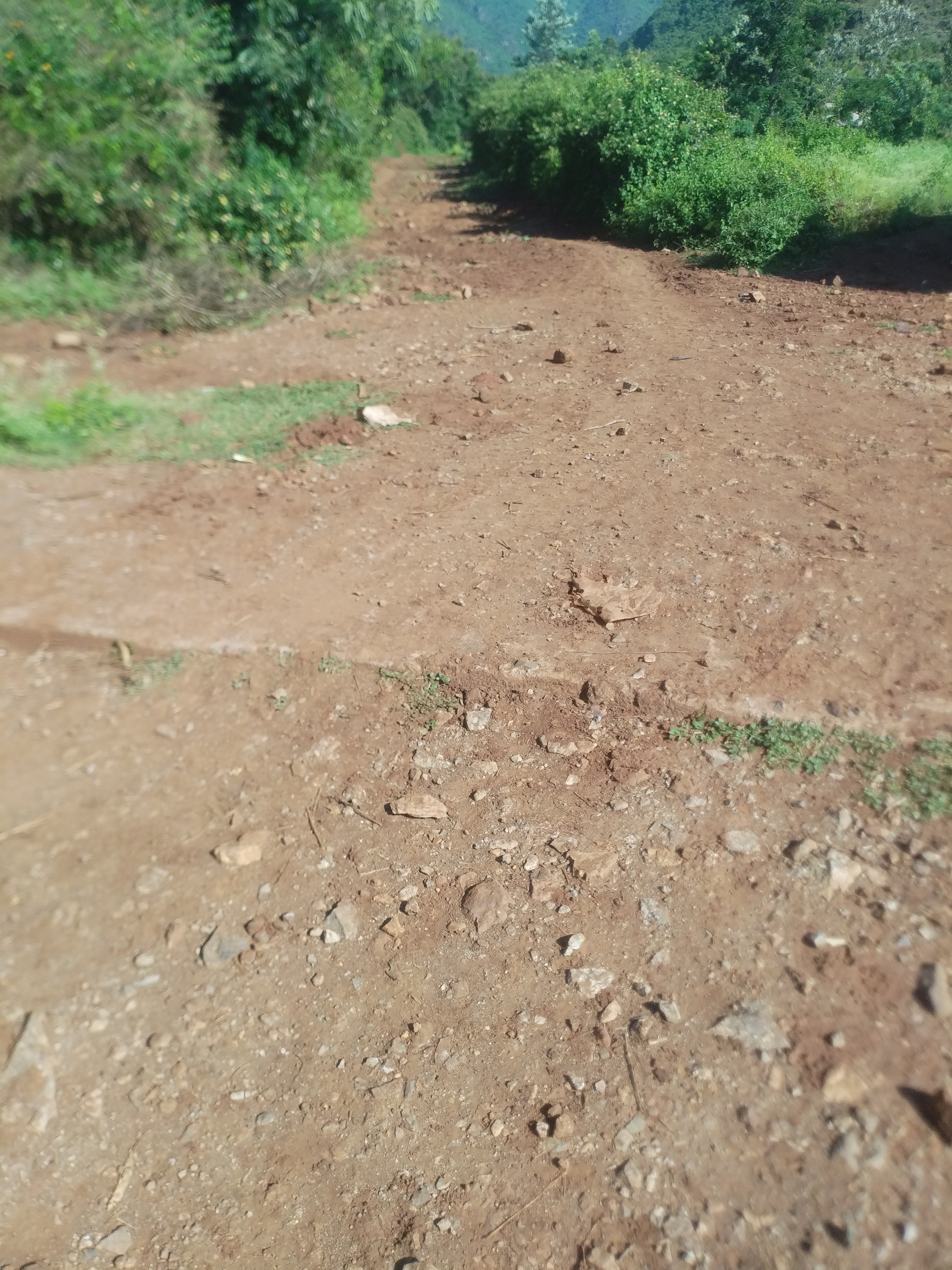 Rangwa- Lwimi-Wangapala- Rowo Pri road