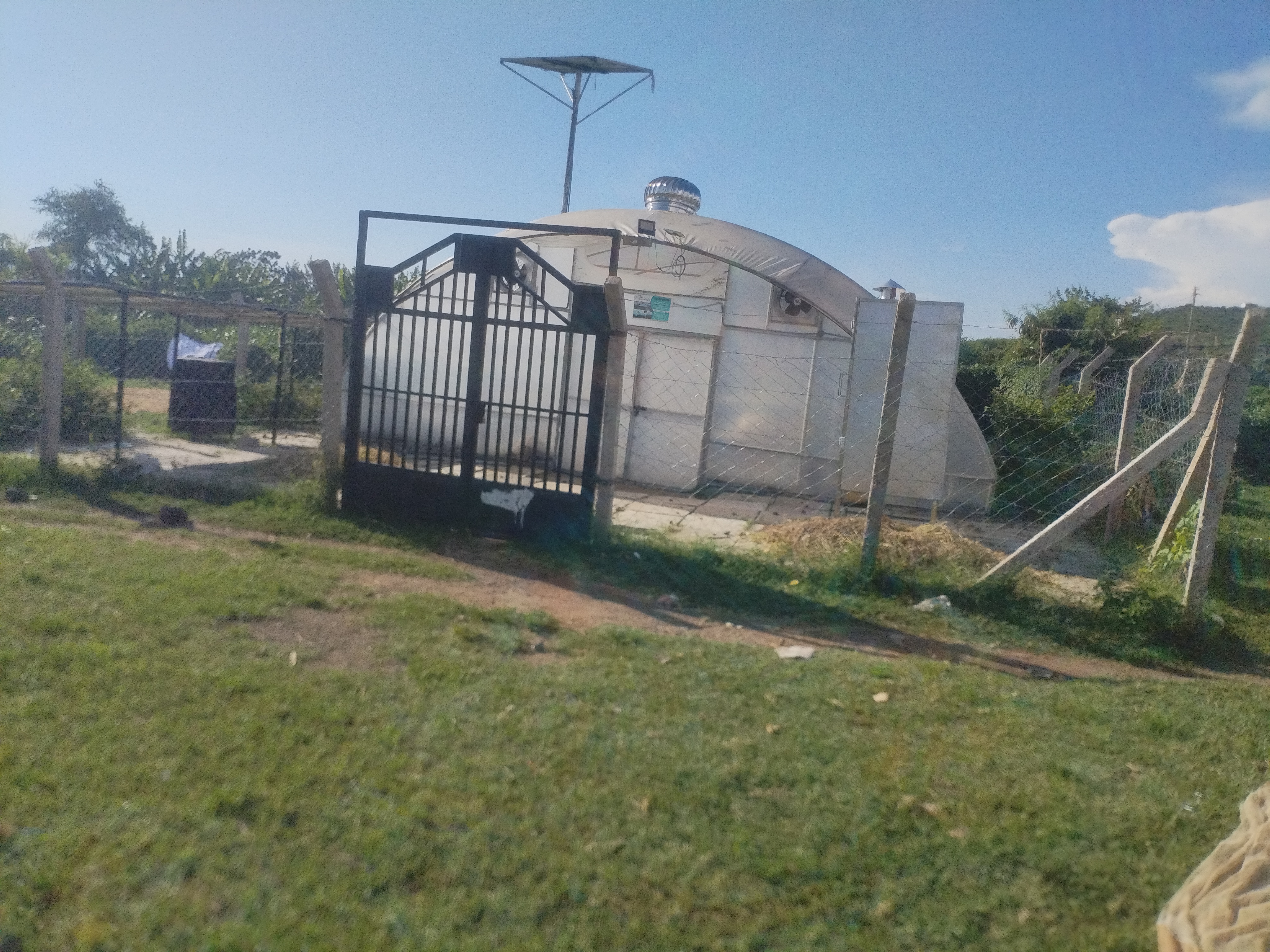 Kaloko beach Solar dryer