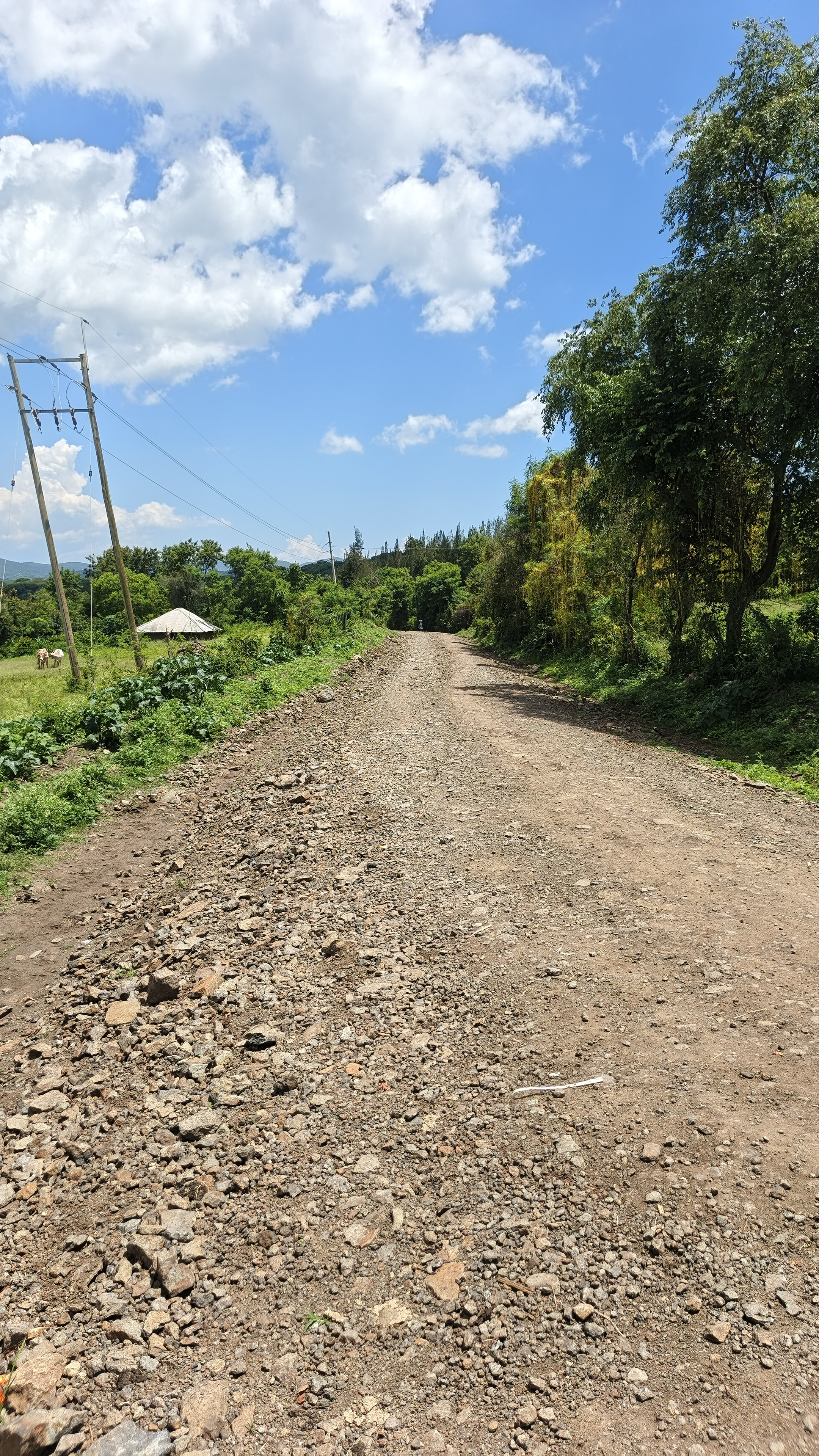 Gendo - kigoto road