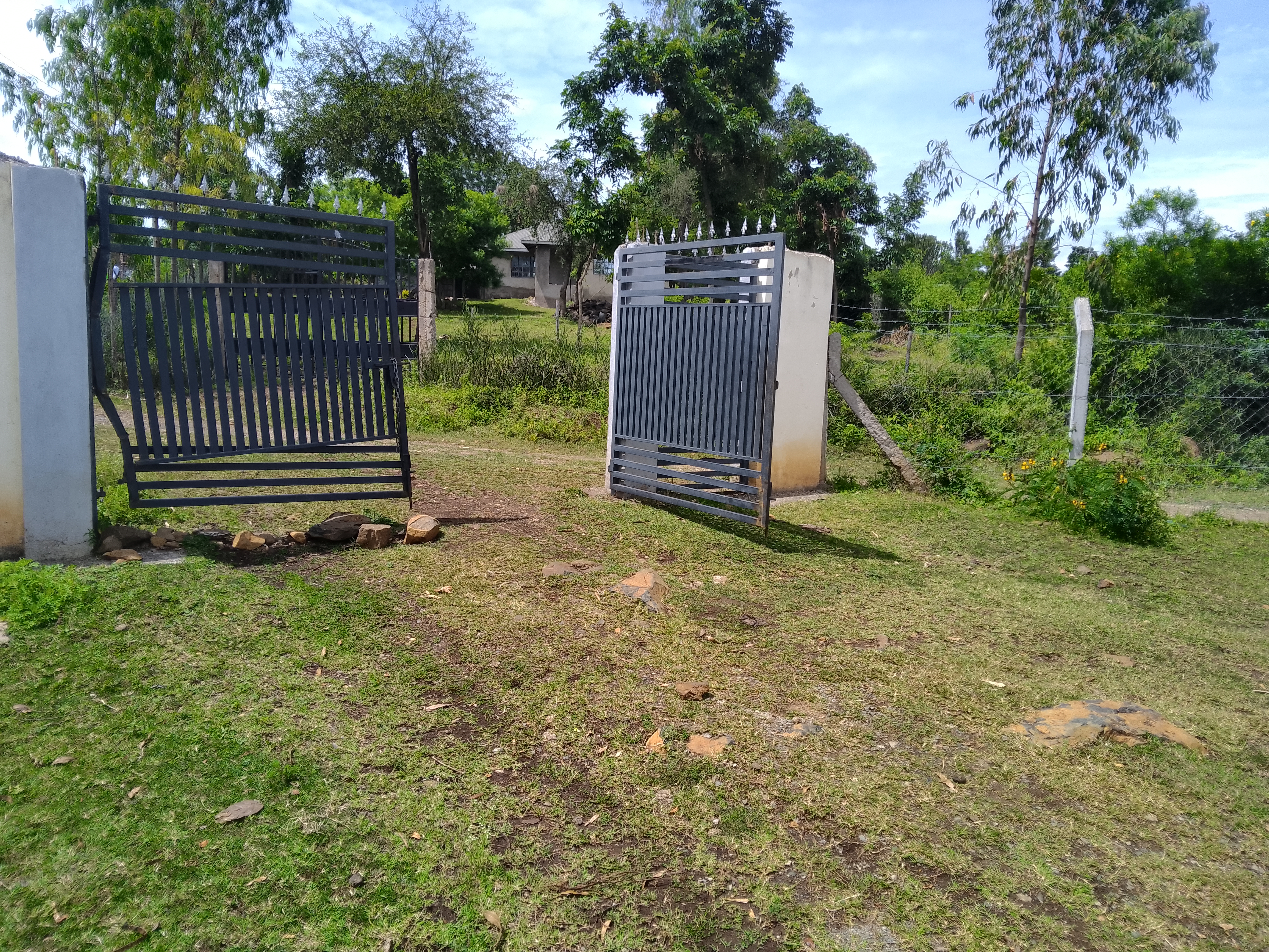 Fencing and getting at homabay town cotton aggregation centre