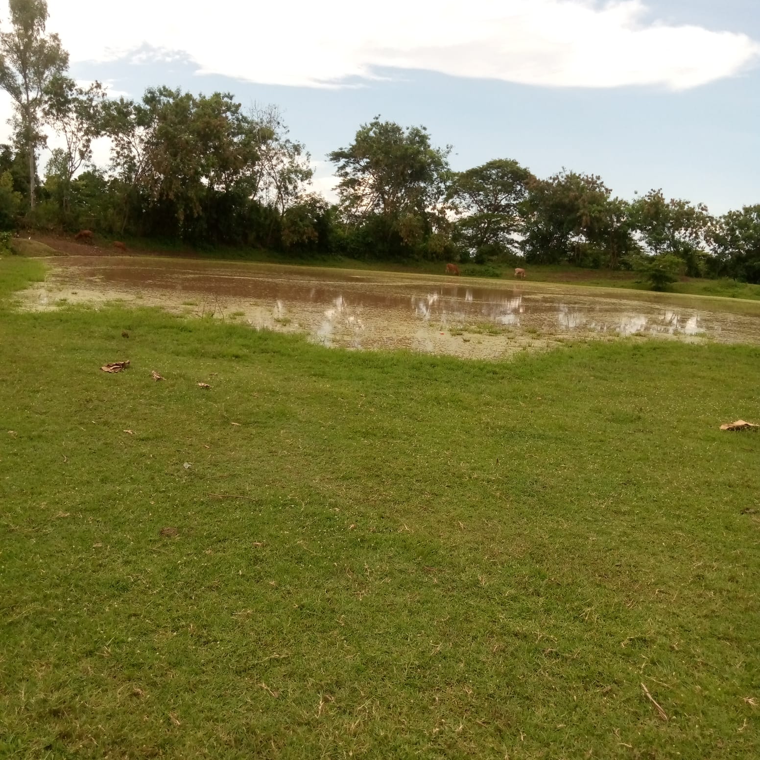 Lwala Kamanga. water pan.