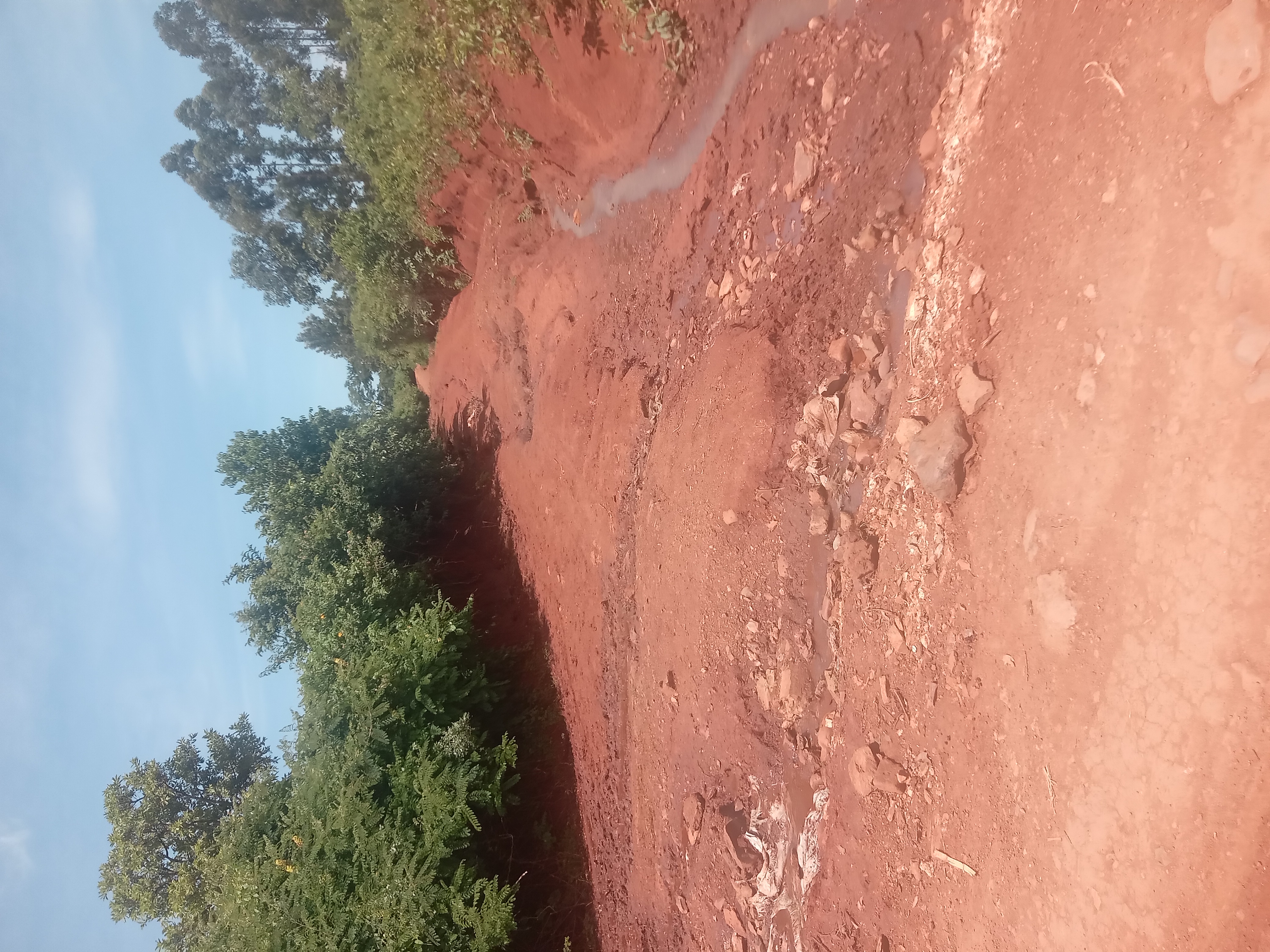 Awach- Saramba Road.2