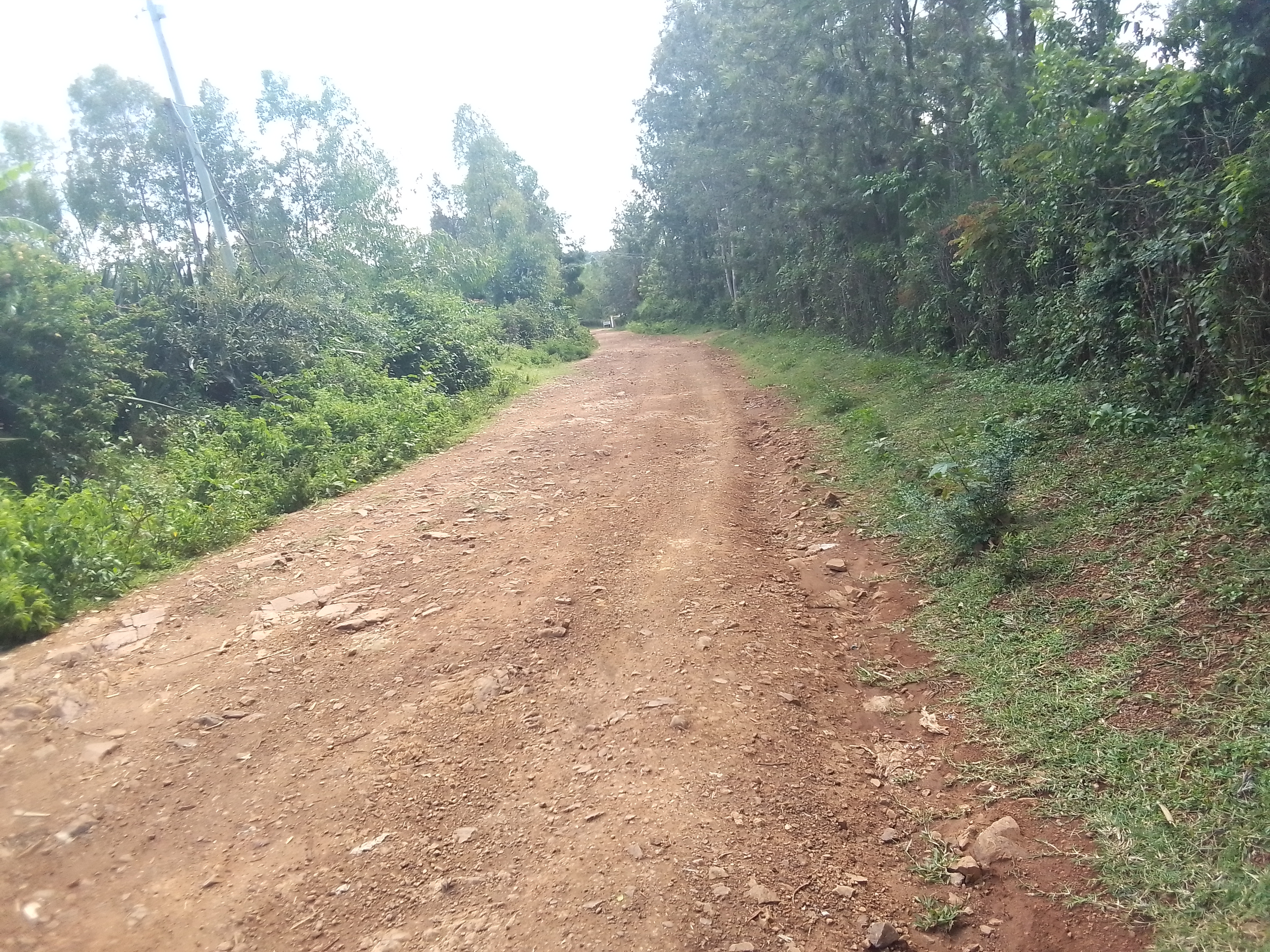 Maintanance of Omoya -Lwanda -Kodote Road..