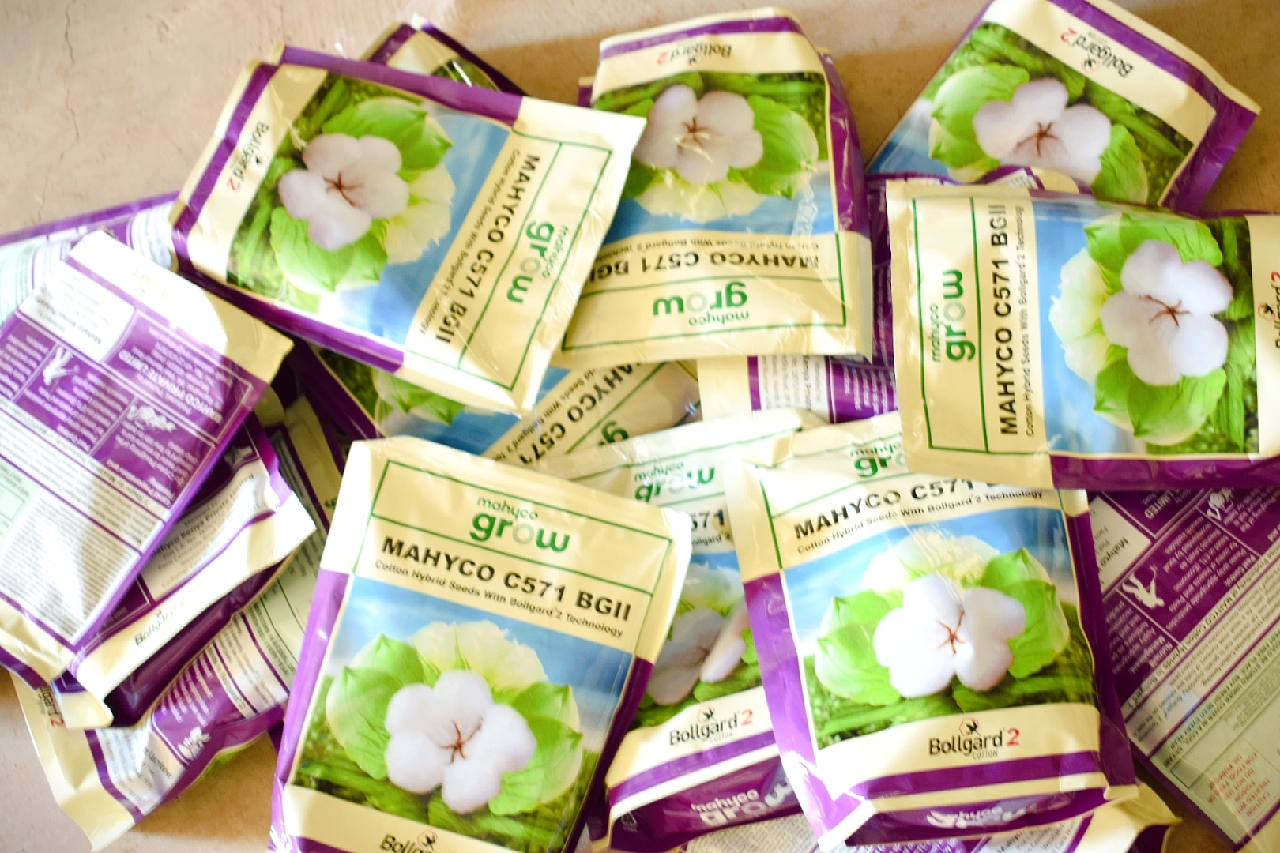 Governor Wanga’s “Pamba Mwandu” Drive Boosts Cotton Farmers in Homa Bay
