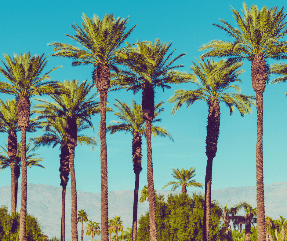 What South Pasadena Homeowners Should Know About HVAC