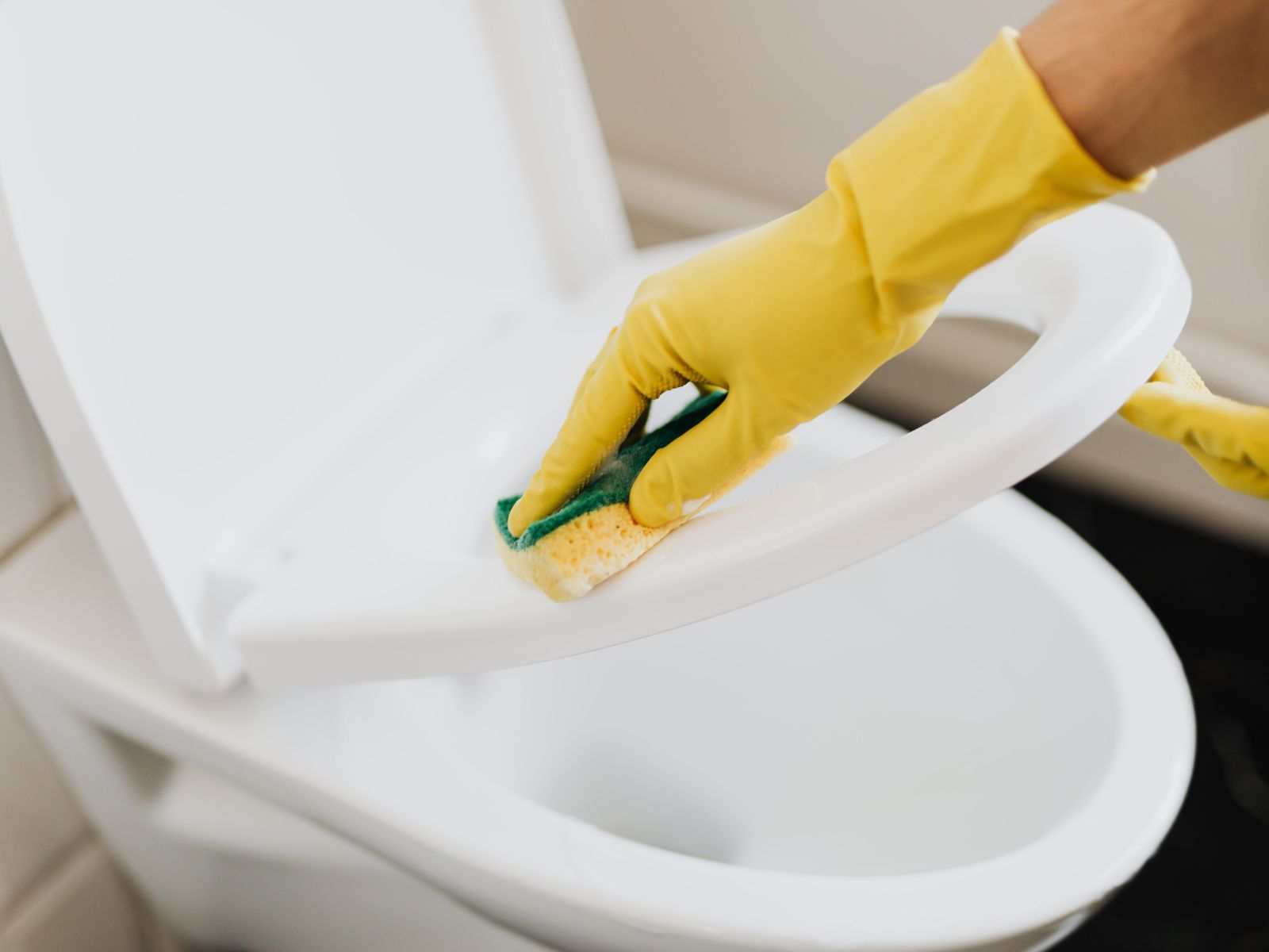 Standard Cleaning for Weekly and Monthly Maintenance  