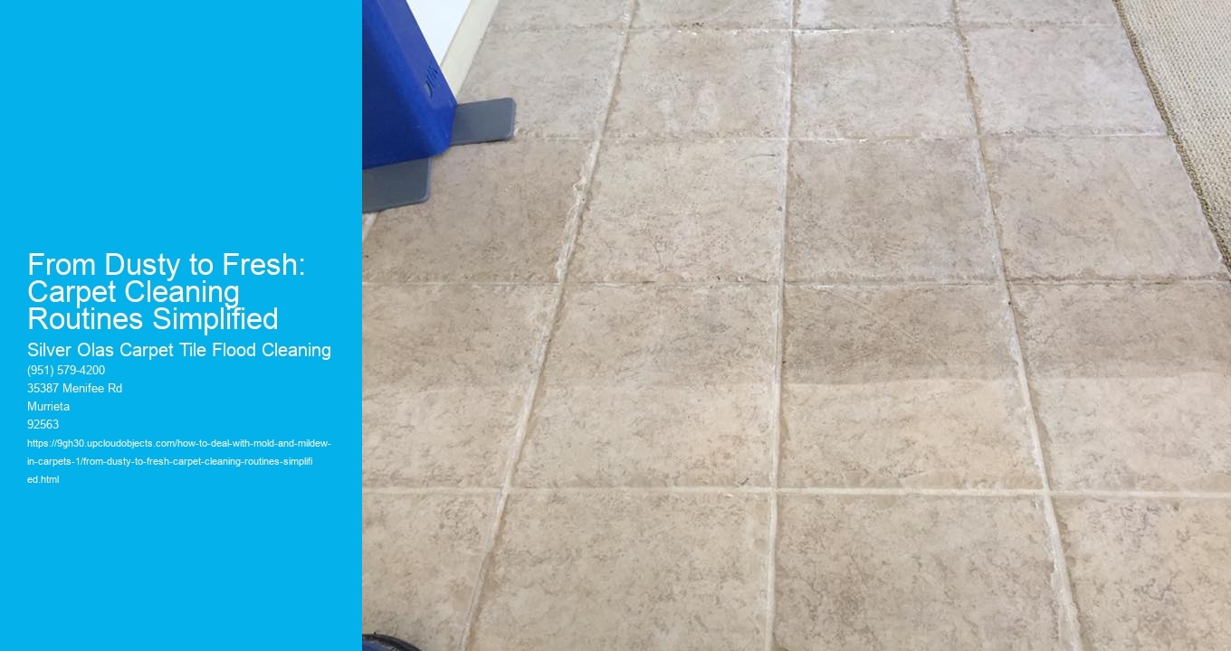 From Dusty to Fresh: Carpet Cleaning Routines Simplified
