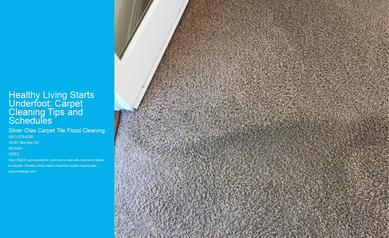 Healthy Living Starts Underfoot: Carpet Cleaning Tips and Schedules
