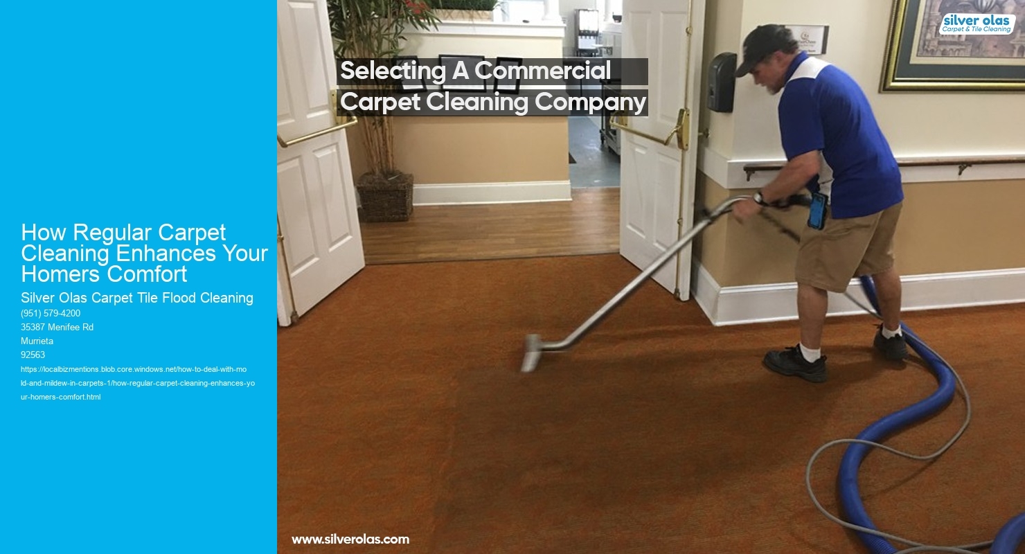 How Regular Carpet Cleaning Enhances Your Homers Comfort