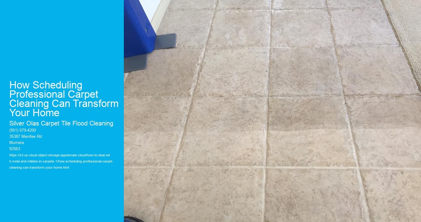 How Scheduling Professional Carpet Cleaning Can Transform Your Home