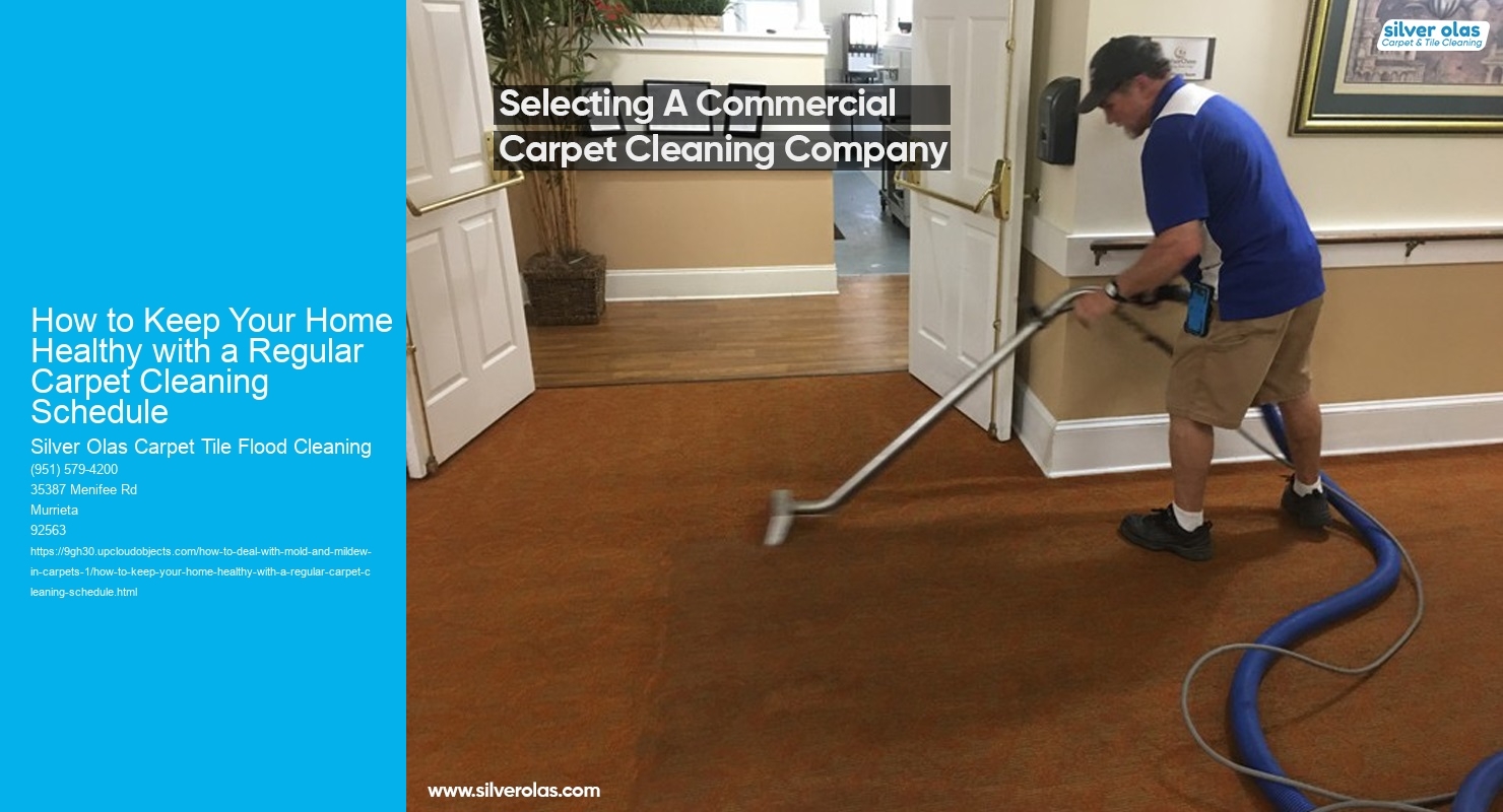 How to Keep Your Home Healthy with a Regular Carpet Cleaning Schedule
