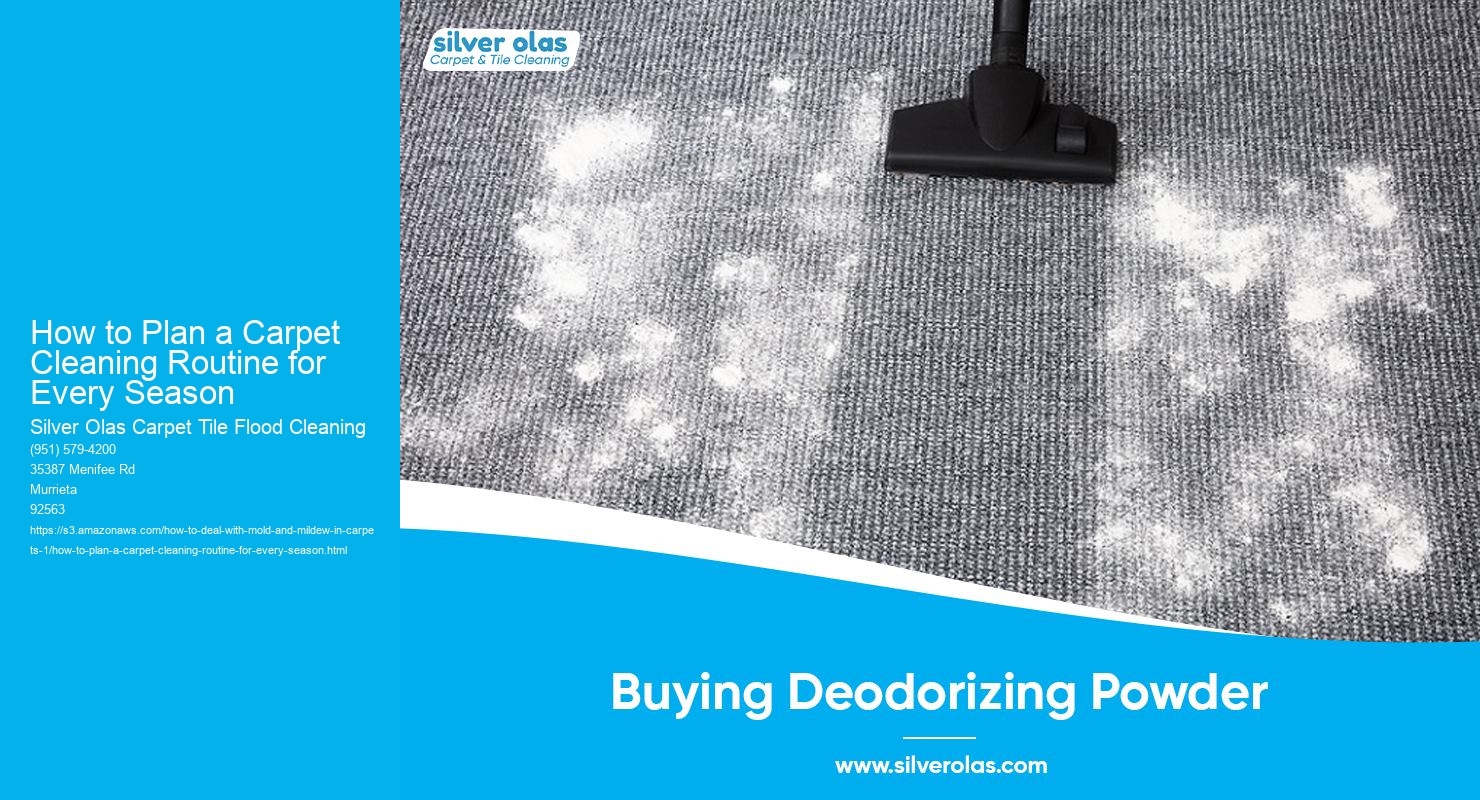 How to Plan a Carpet Cleaning Routine for Every Season