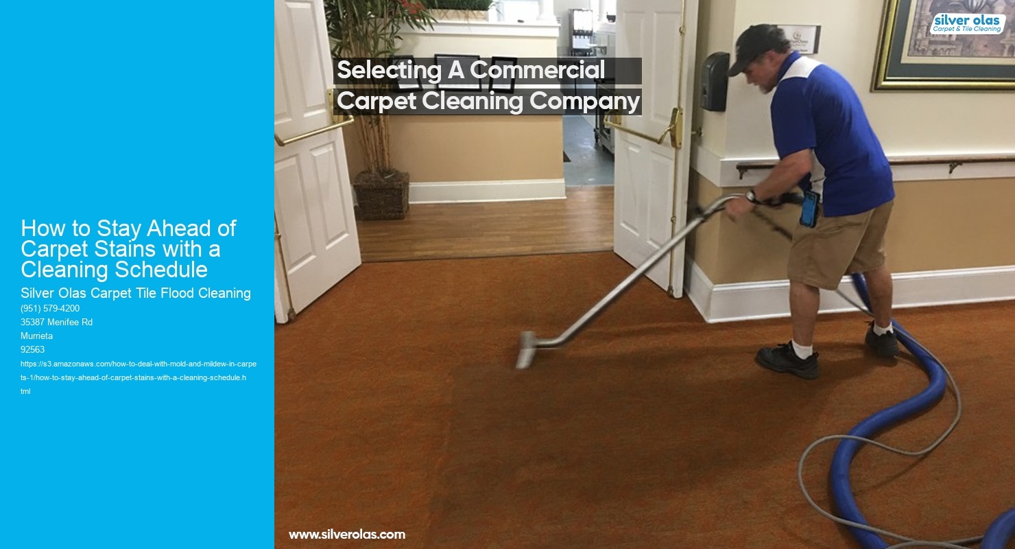 How to Stay Ahead of Carpet Stains with a Cleaning Schedule