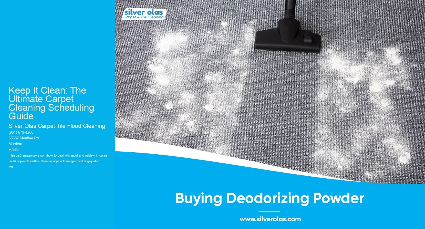 Keep It Clean: The Ultimate Carpet Cleaning Scheduling Guide
