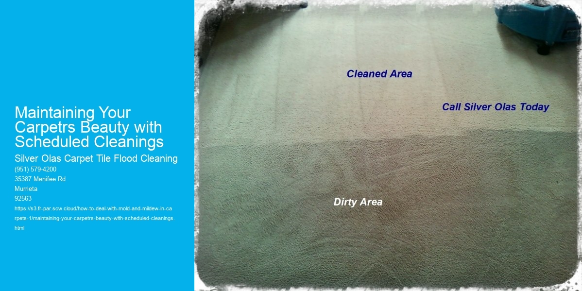 Maintaining Your Carpetrs Beauty with Scheduled Cleanings