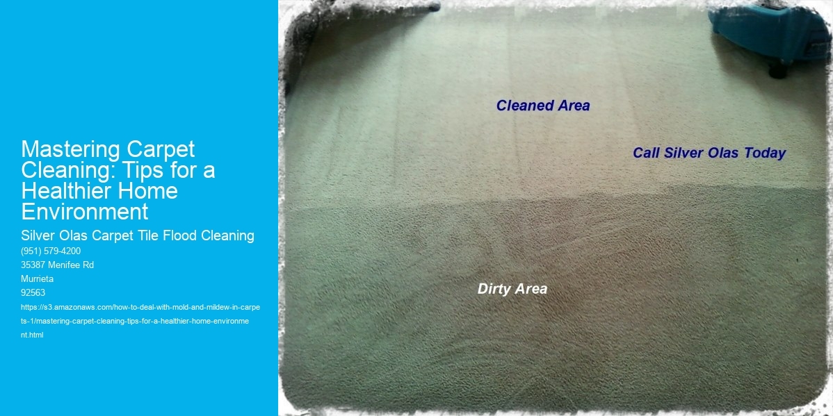 Mastering Carpet Cleaning: Tips for a Healthier Home Environment