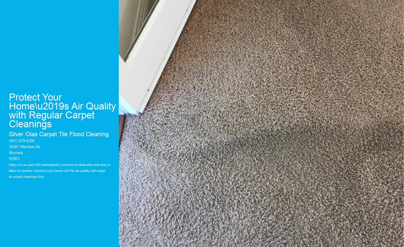 Protect Your Home\u2019s Air Quality with Regular Carpet Cleanings
