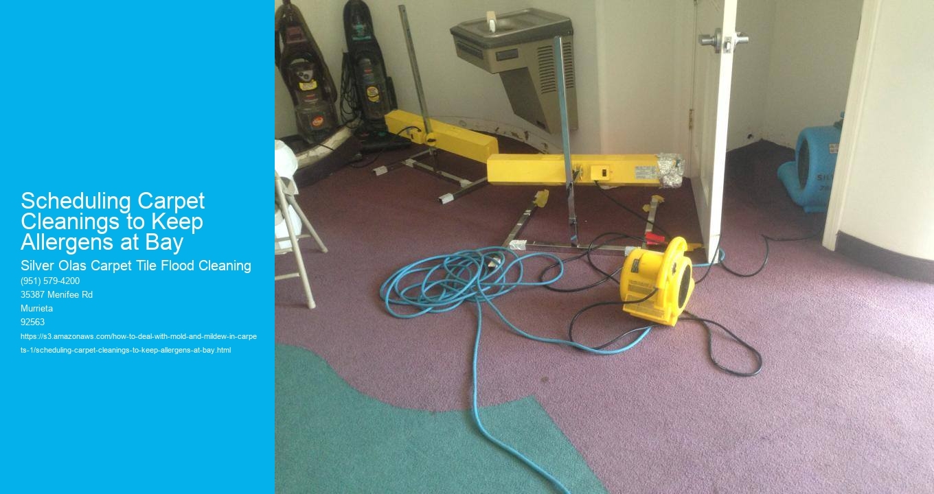 Scheduling Carpet Cleanings to Keep Allergens at Bay