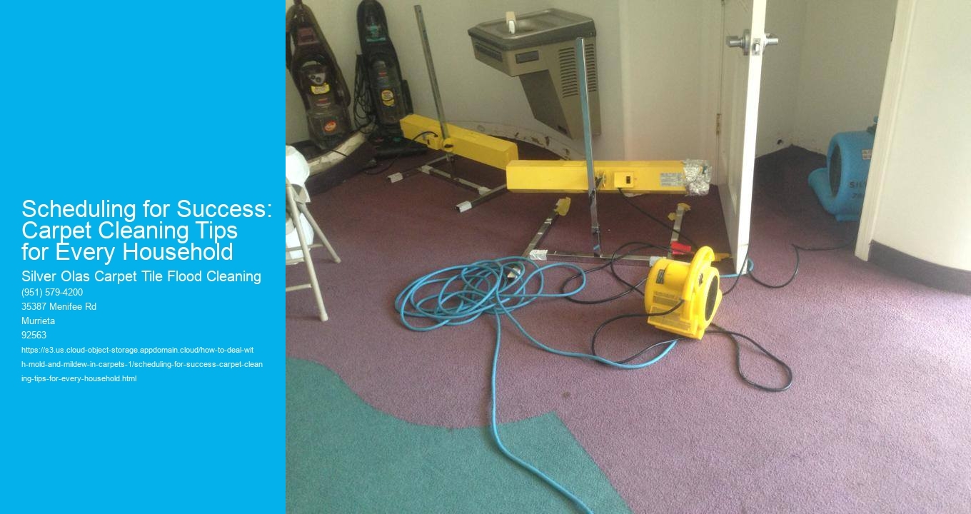 Scheduling for Success: Carpet Cleaning Tips for Every Household