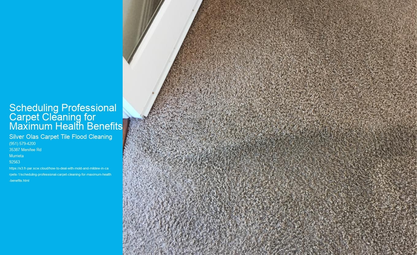 Scheduling Professional Carpet Cleaning for Maximum Health Benefits