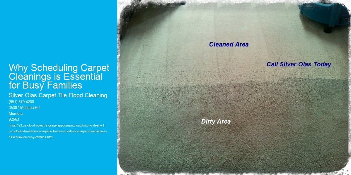 Why Scheduling Carpet Cleanings is Essential for Busy Families