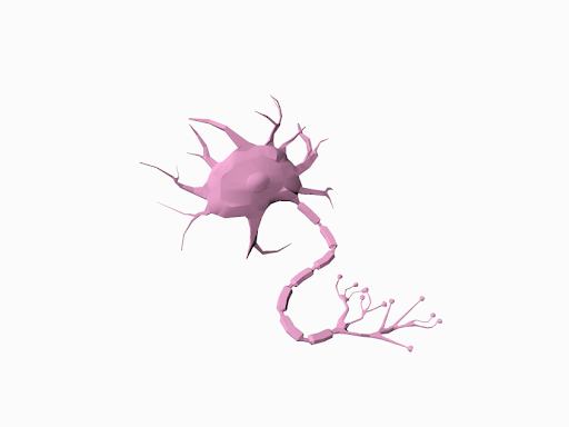 Neuron Cell by Munish Dhiman