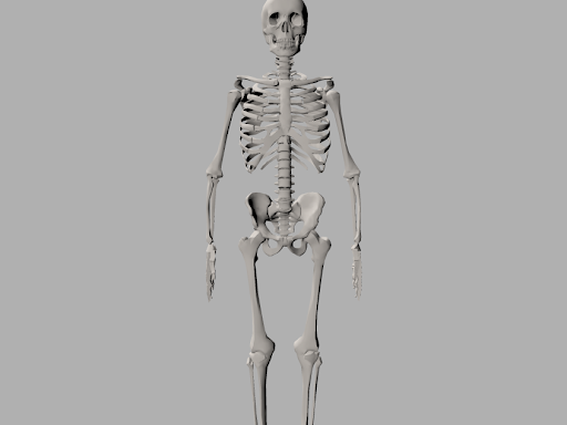 skeleton by Munish Dhiman