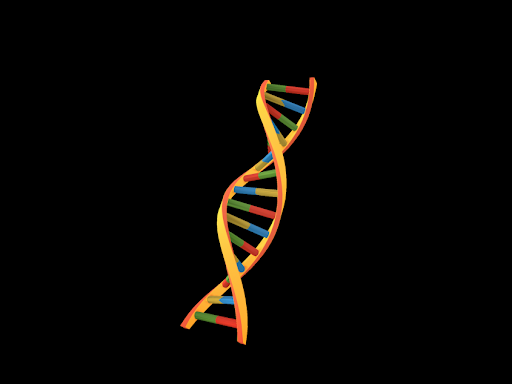 DNA by nathan stevens