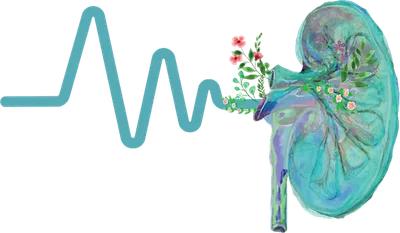 Watercolor Kidney Heartbeat