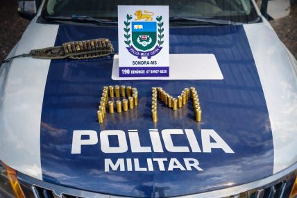 Espingarda é recolhida em Sonora; denúncia apontava ameaças à companheira