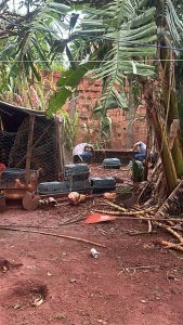 Homem é detido em Campo Grande por poluição ambiental causada por criação irregular