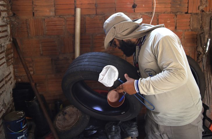 MS confirma 79 casos de dengue na 5ª semana epidemiológica