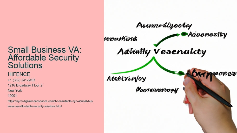 Small Business VA: Affordable Security Solutions